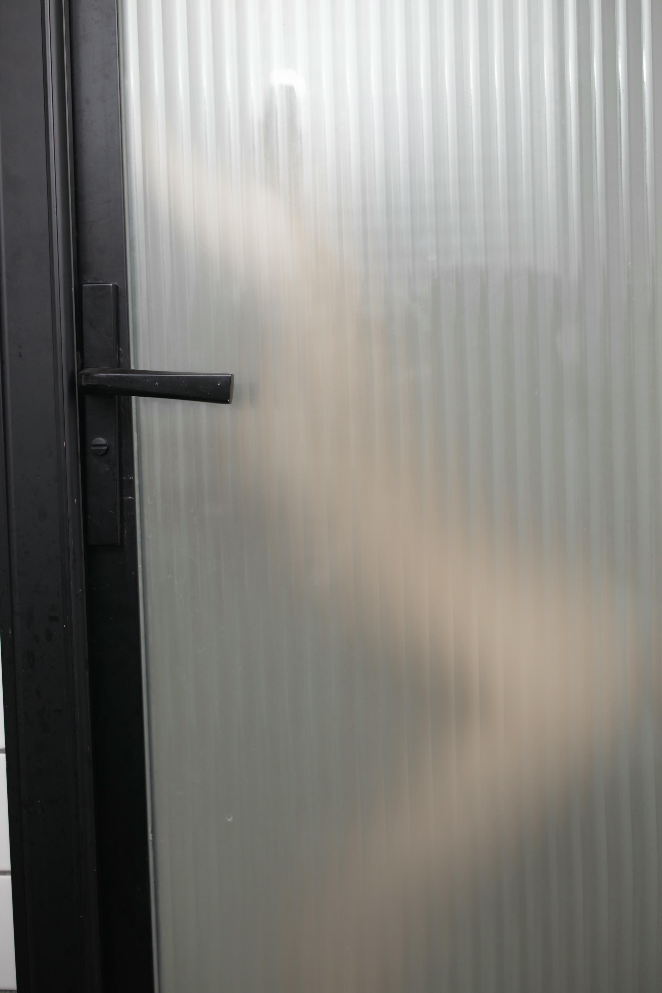 鱼子酱Fish NO.131 内购无水印 3036 邻居借水 [90P 1.15 GB]_第1集