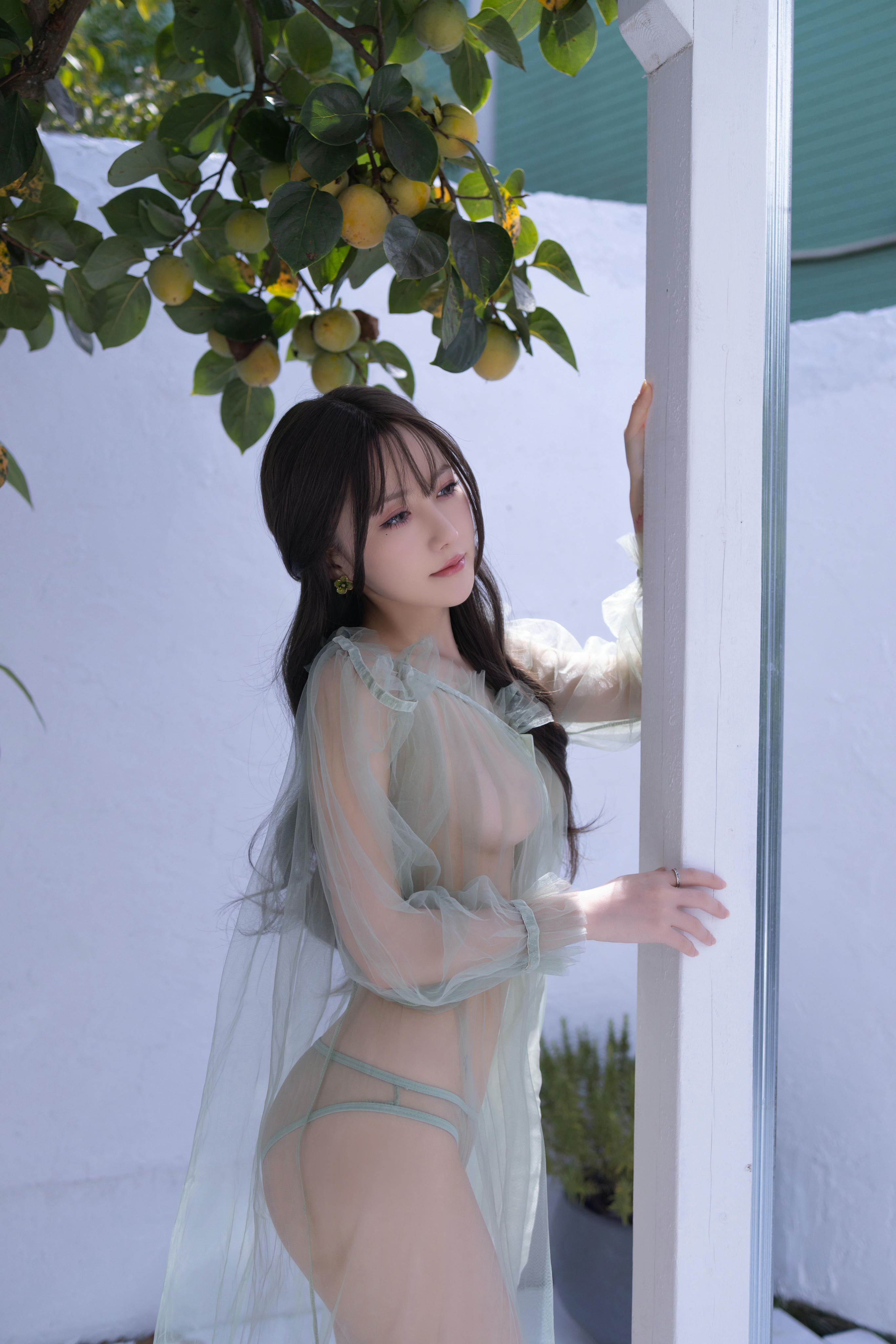 鱼子酱Fish NO.049 内购无水印 绿色薄纱 [120P2GB]_第1集