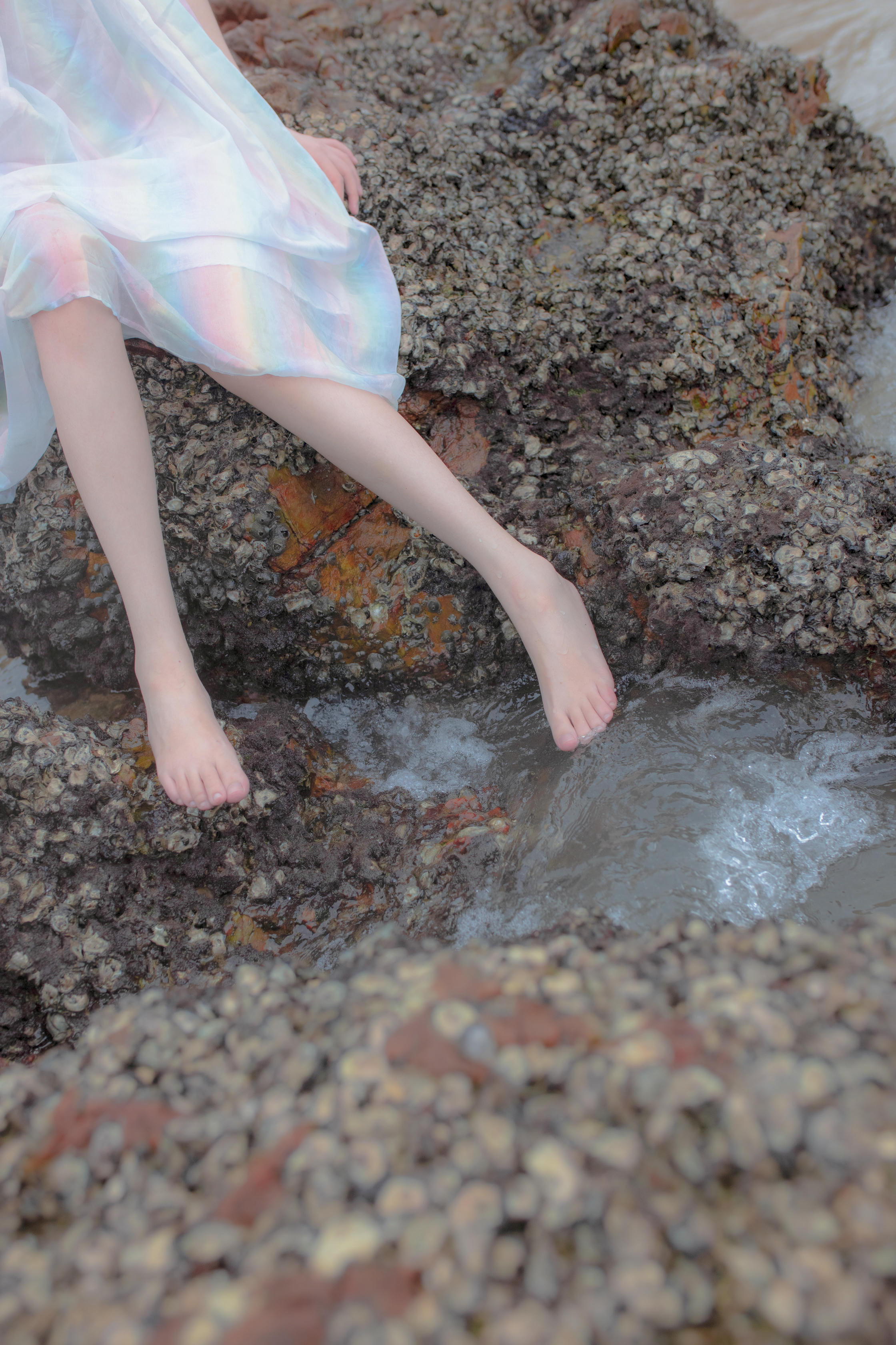 疯猫ss-礁石人鱼_第1集