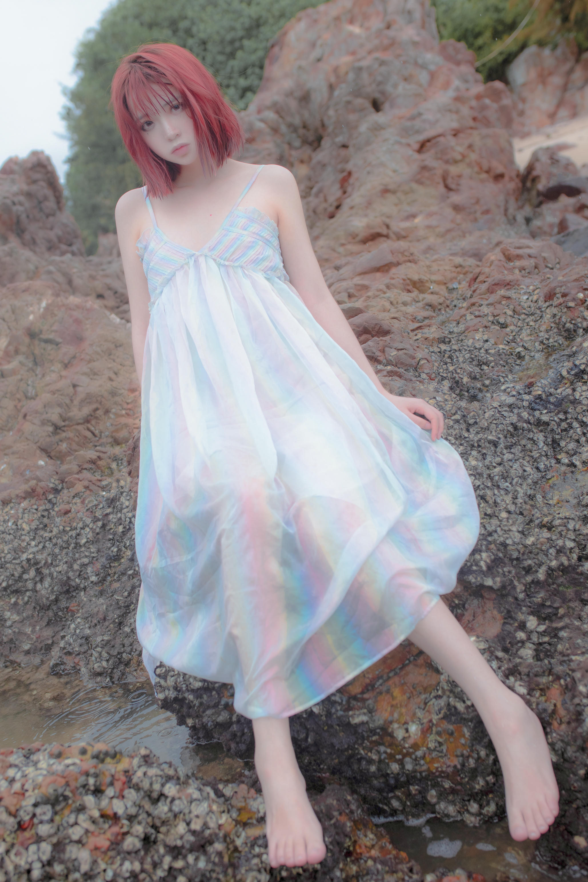 疯猫ss-礁石人鱼_第1集