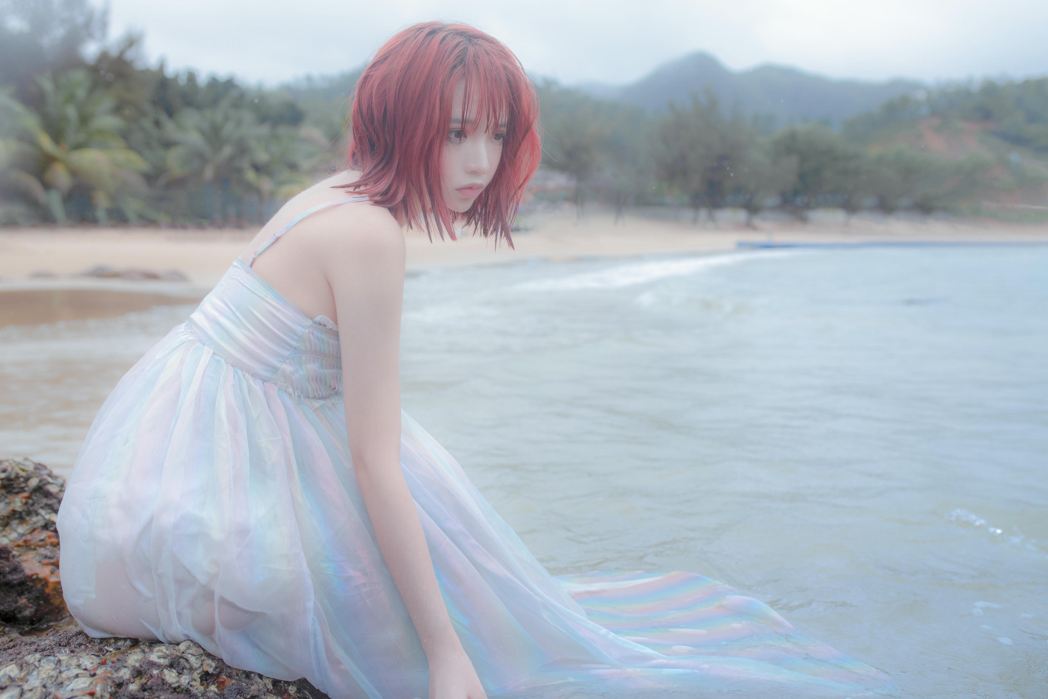 疯猫ss-礁石人鱼_第1集