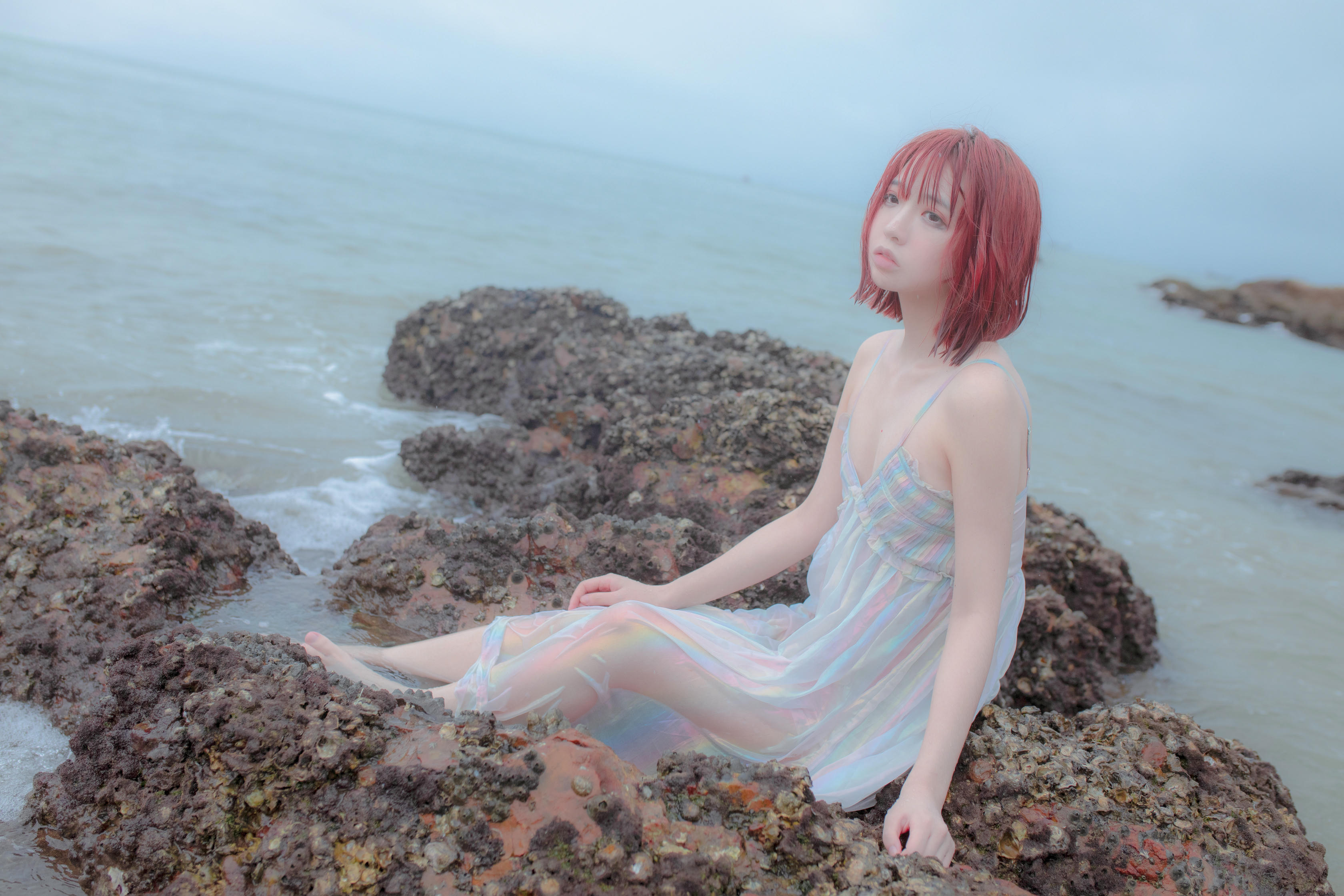 疯猫ss-礁石人鱼_第2集