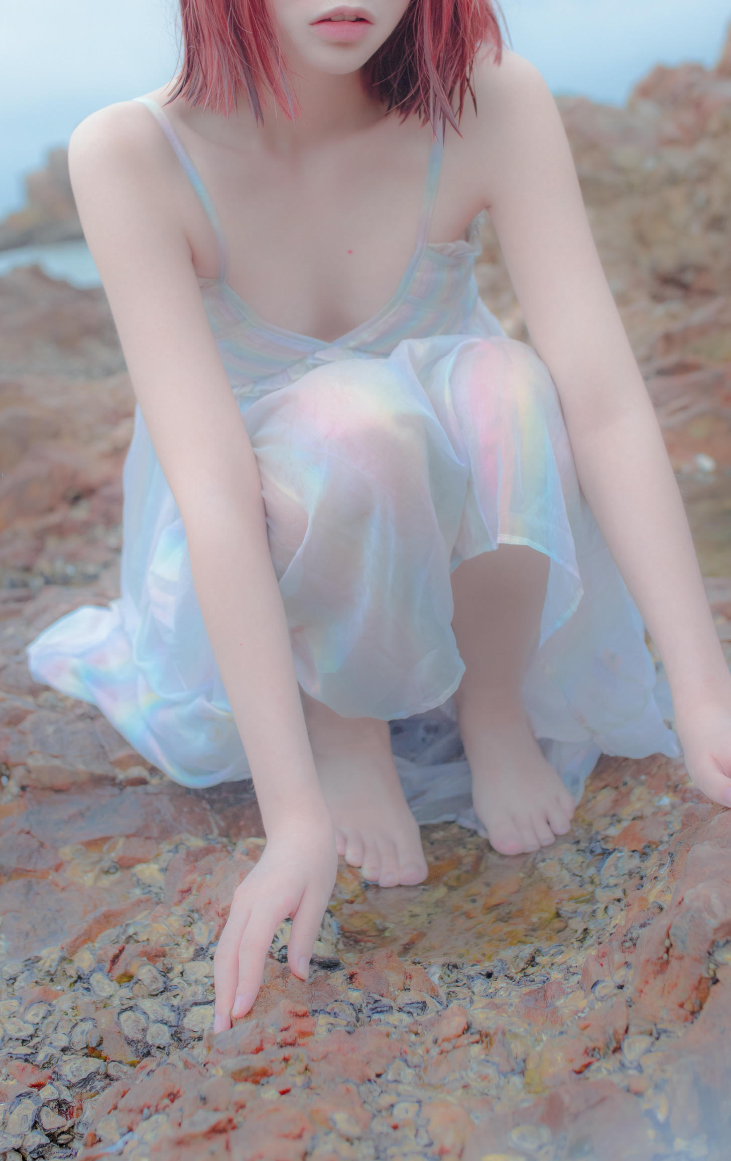 疯猫ss-礁石人鱼_第1集