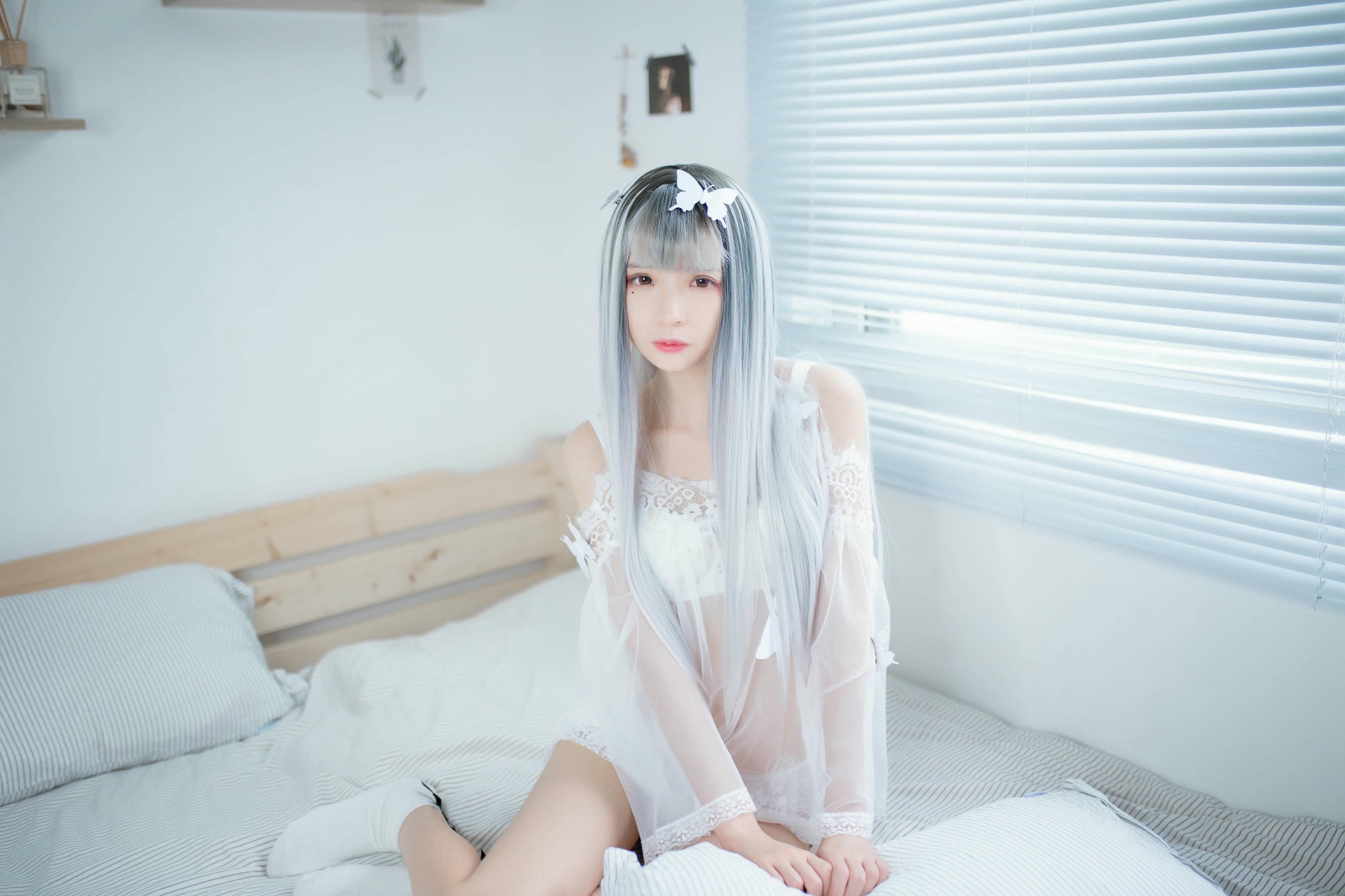 疯猫ss NO.003 白纱原版套图 [33P-125MB]_第1集