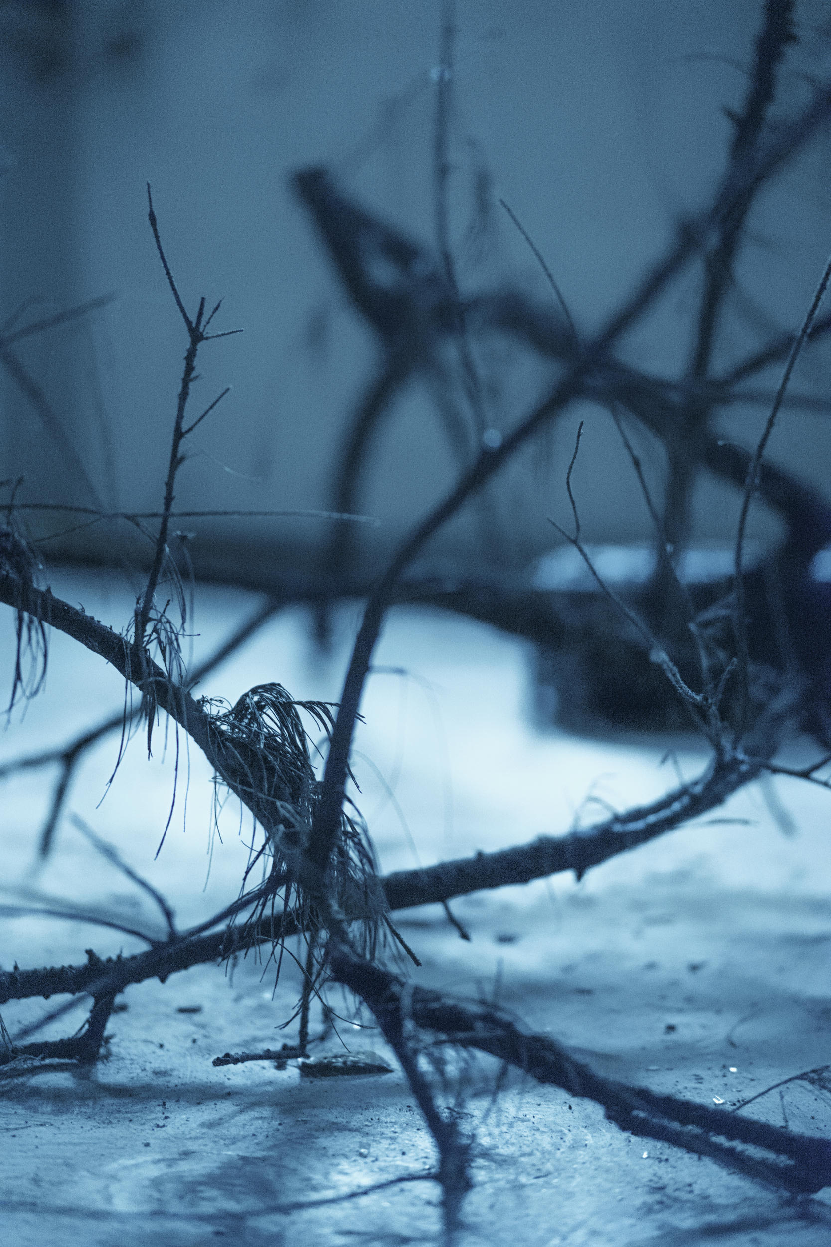 疯猫ss NO.044 魔女 [27P-386MB]_第1集