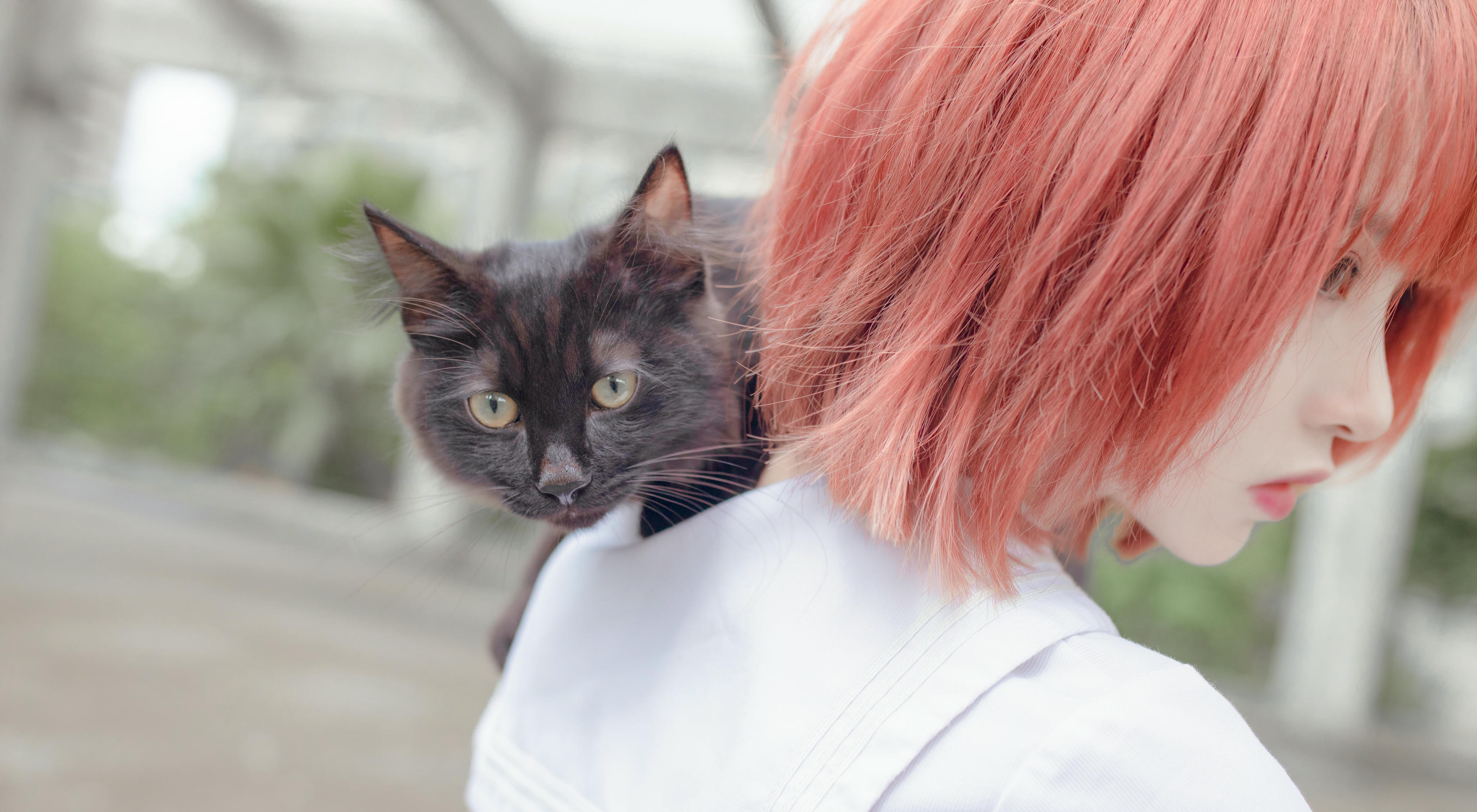 疯猫ss NO.046 和猫 [18P-252MB]_第1集