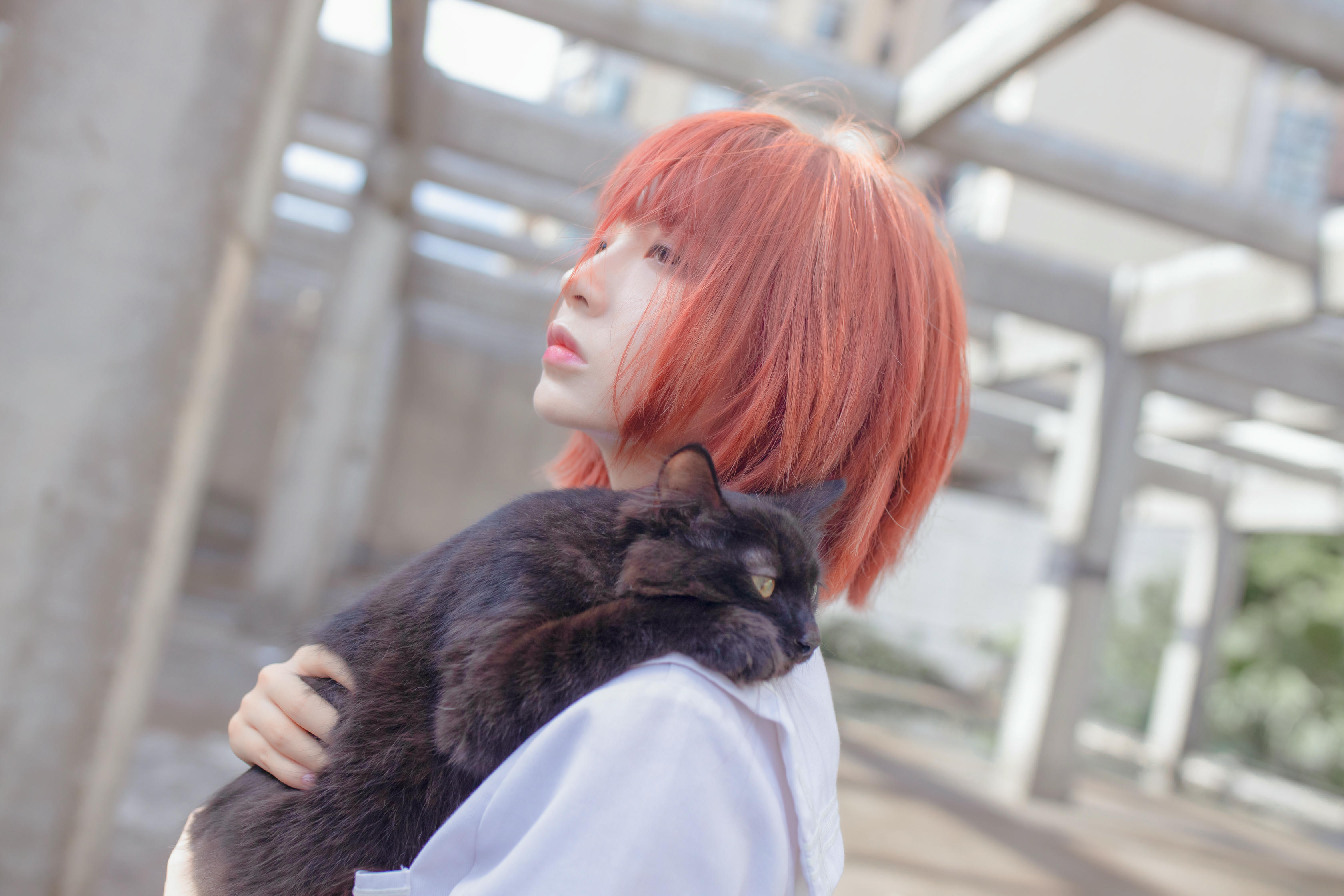 疯猫ss NO.046 和猫 [18P-252MB]_第1集