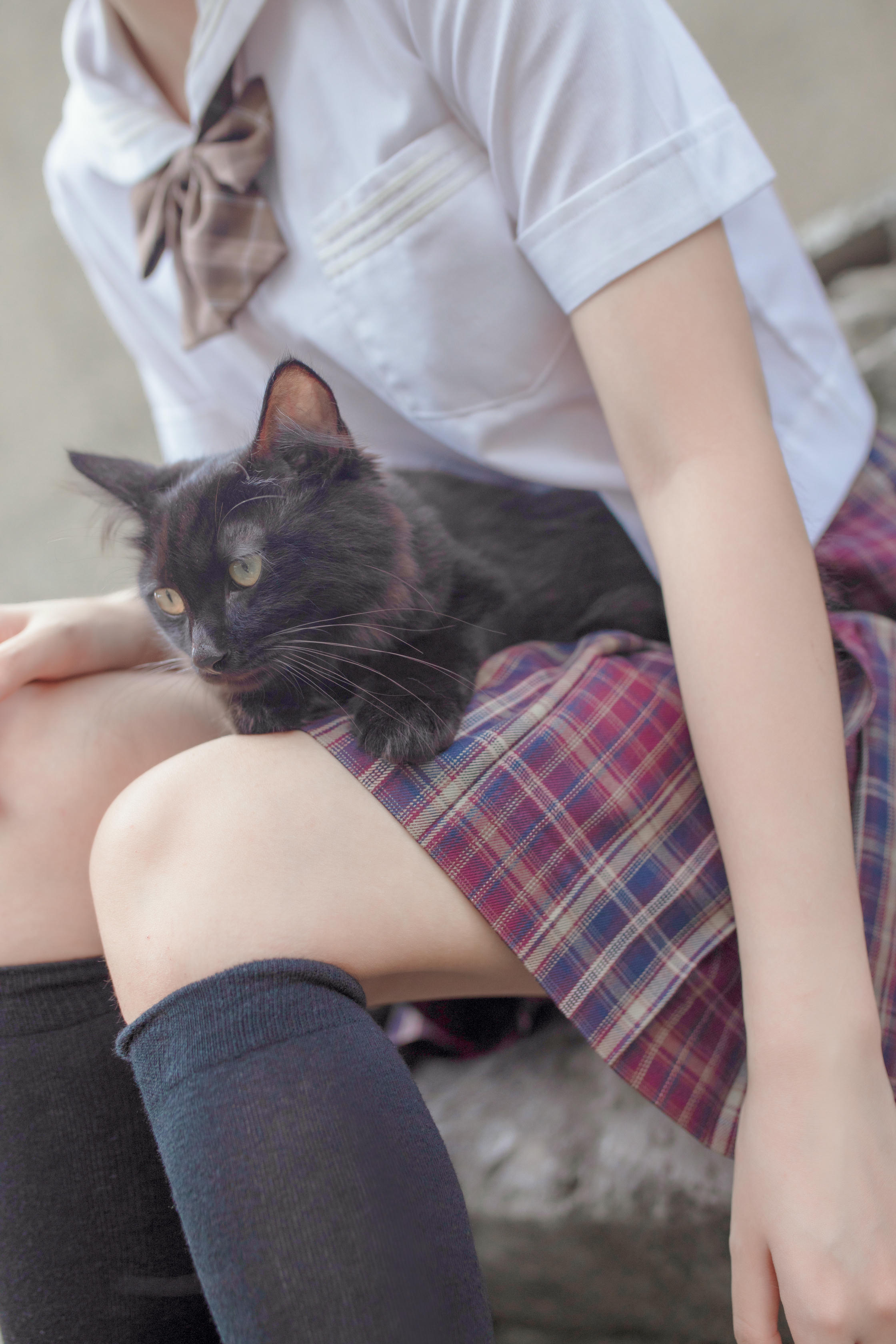 疯猫ss NO.046 和猫 [18P-252MB]_第1集