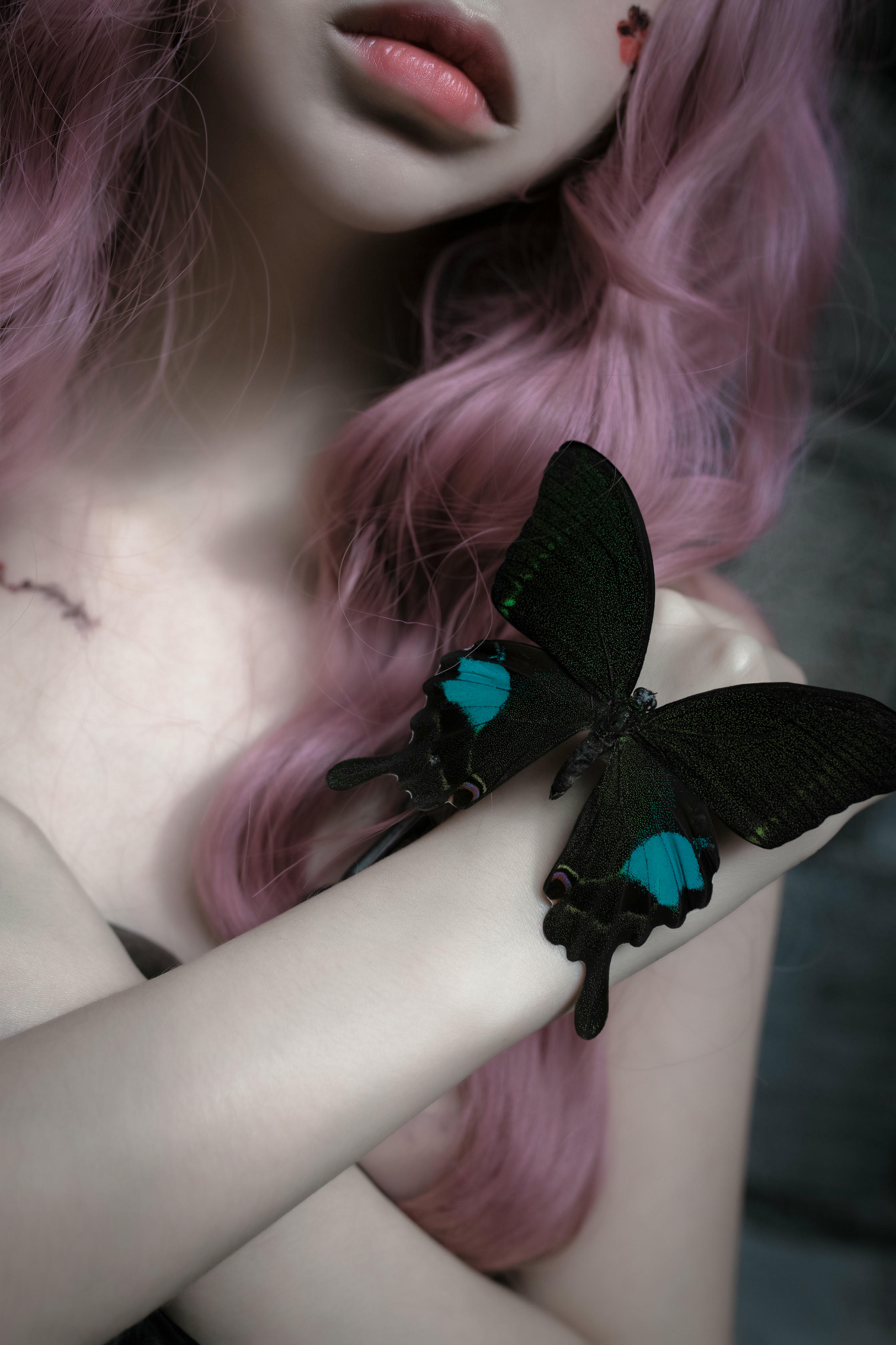 疯猫ss NO.061 化蝶 [60P-775MB]_第1集