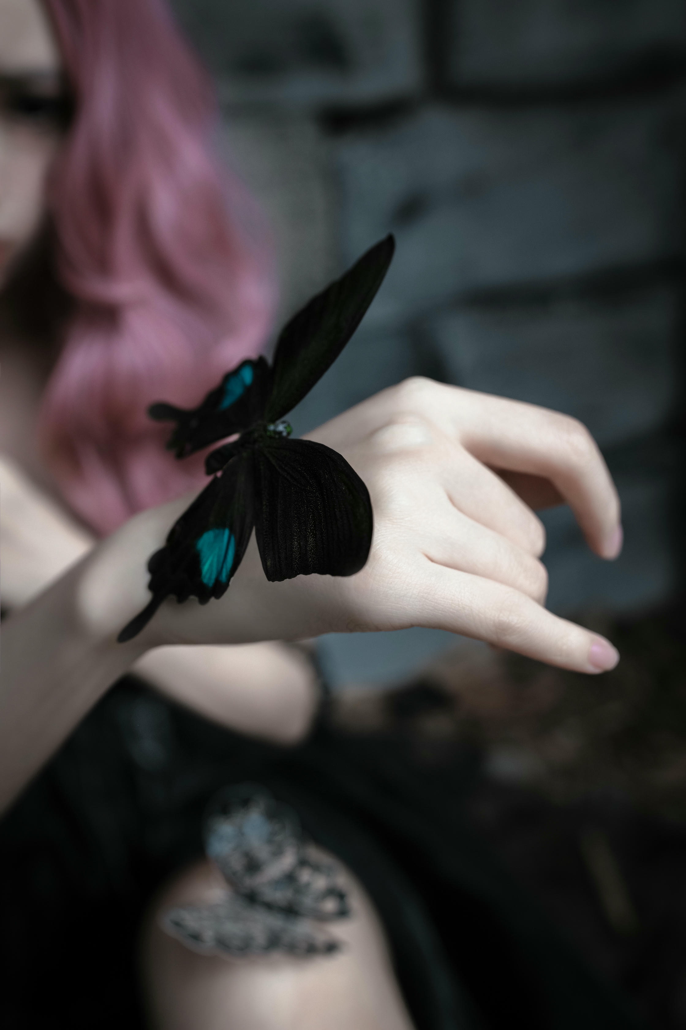 疯猫ss NO.061 化蝶 [60P-775MB]_第1集