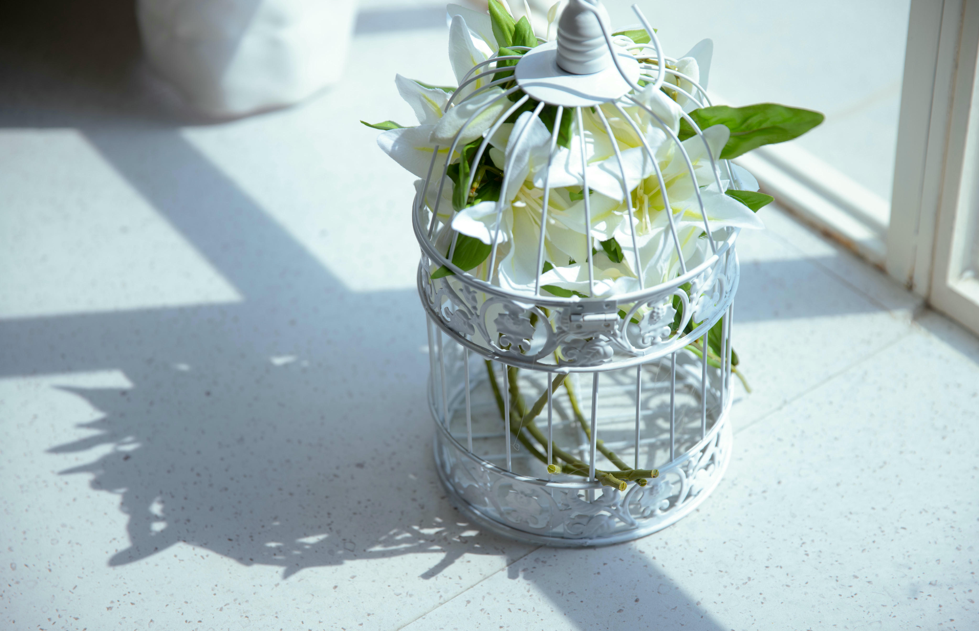 G44不会受伤 NO.050 美少女万华镜夕莉夕摩 [31P-357MB]_第1集