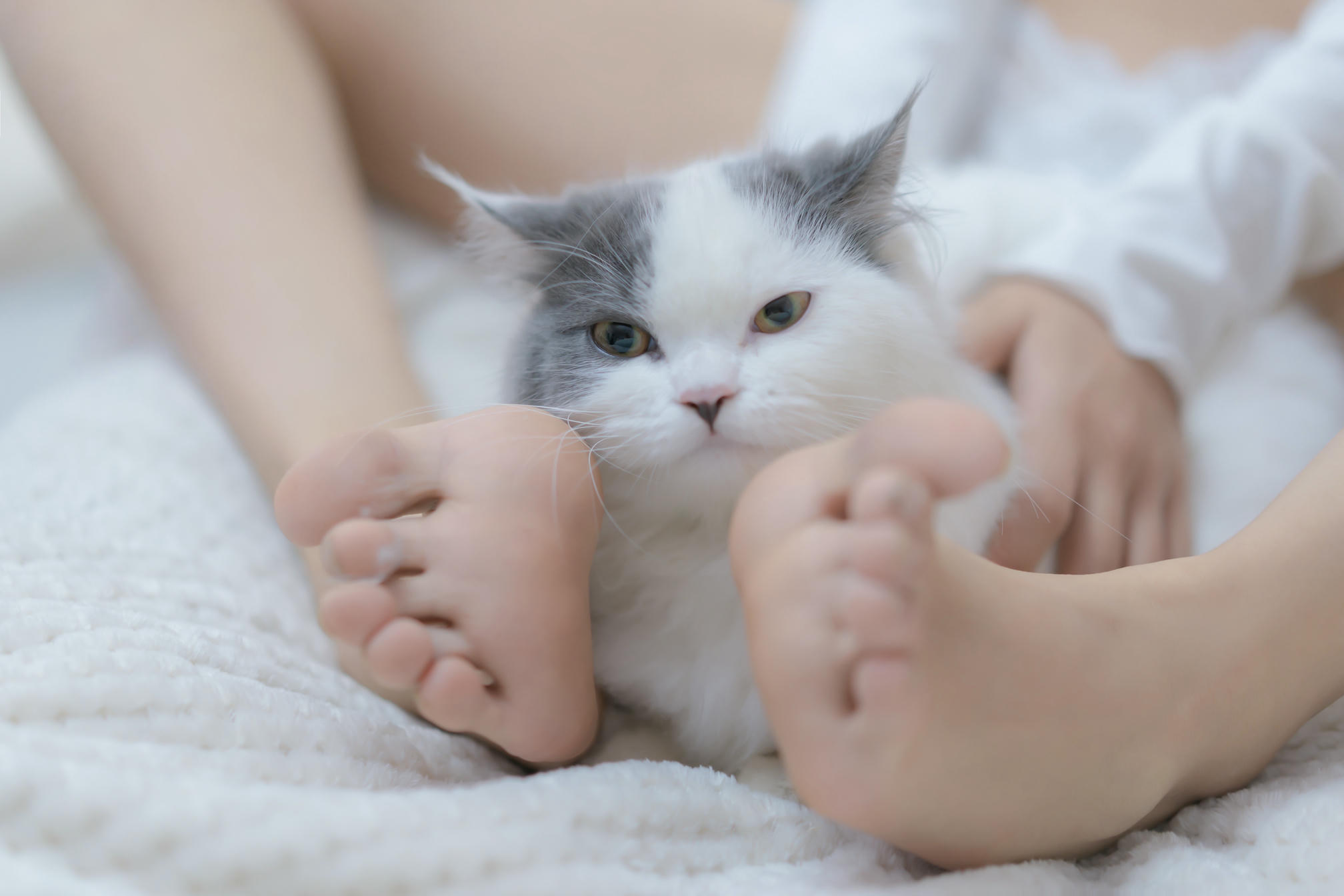 过期米线线喵 NO.114 我和猫 [90P-114MB]_第2集