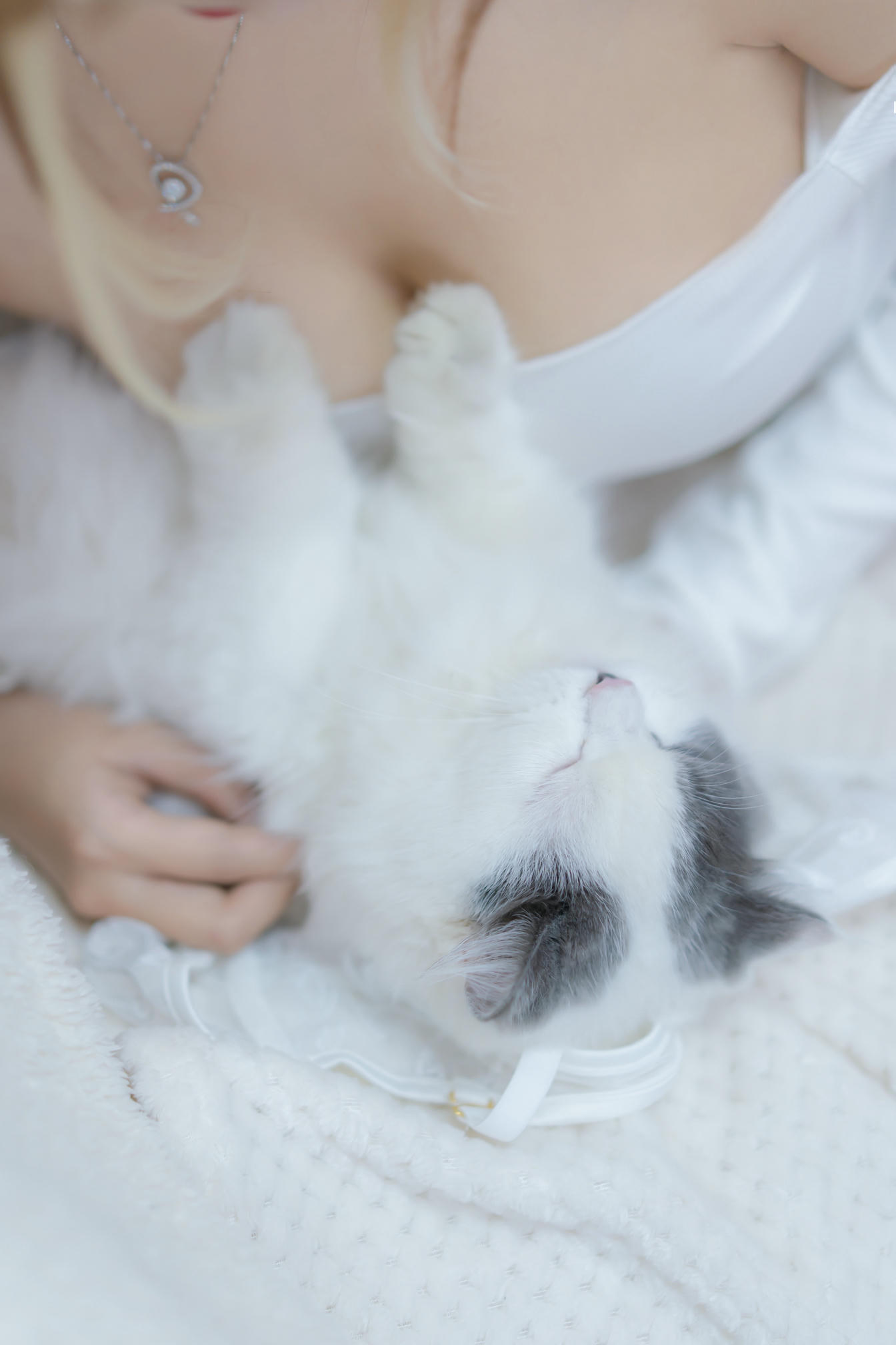 过期米线线喵 NO.114 我和猫 [90P-114MB]_第3集