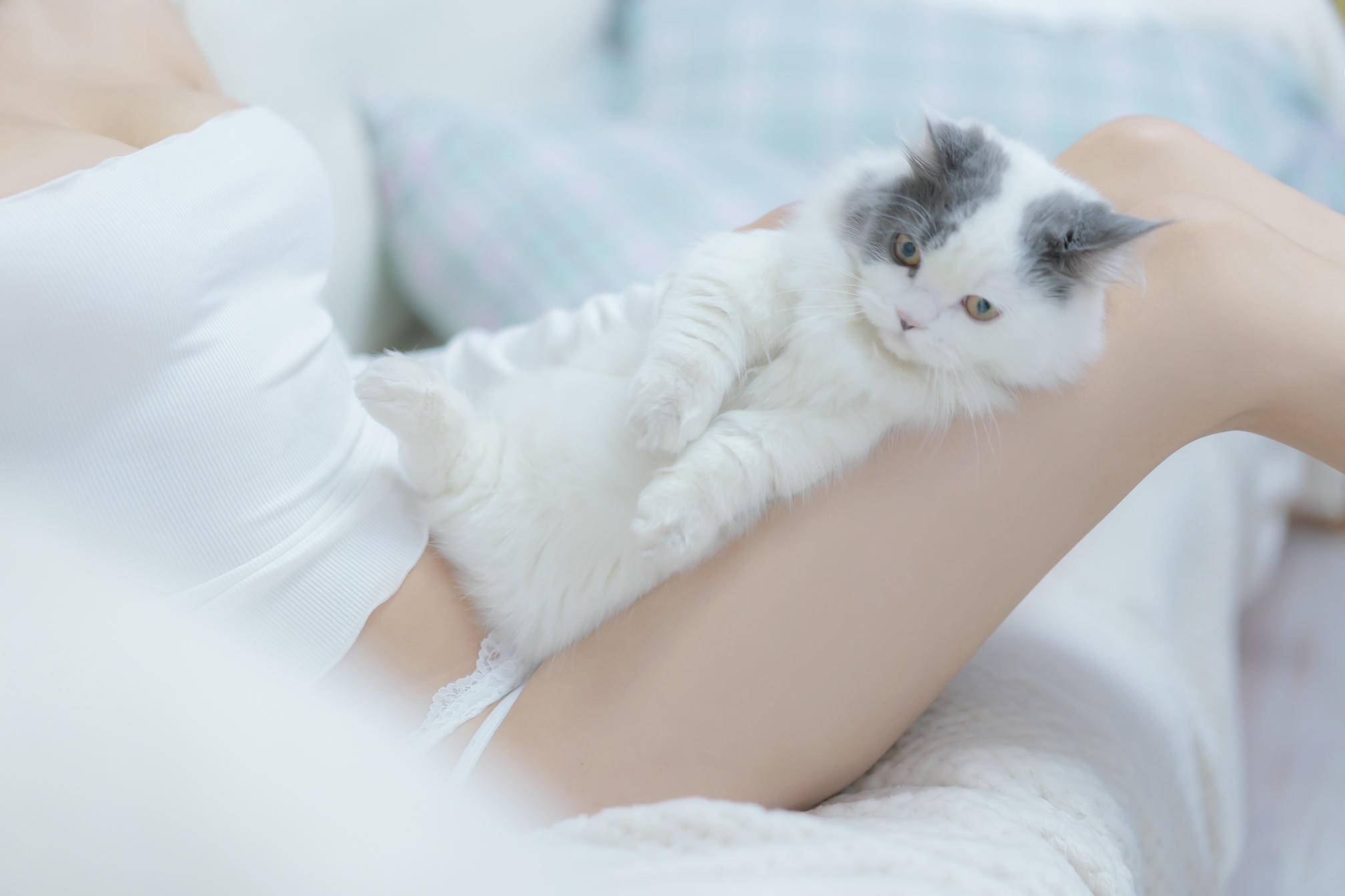 过期米线线喵 NO.114 我和猫 [90P-114MB]_第4集