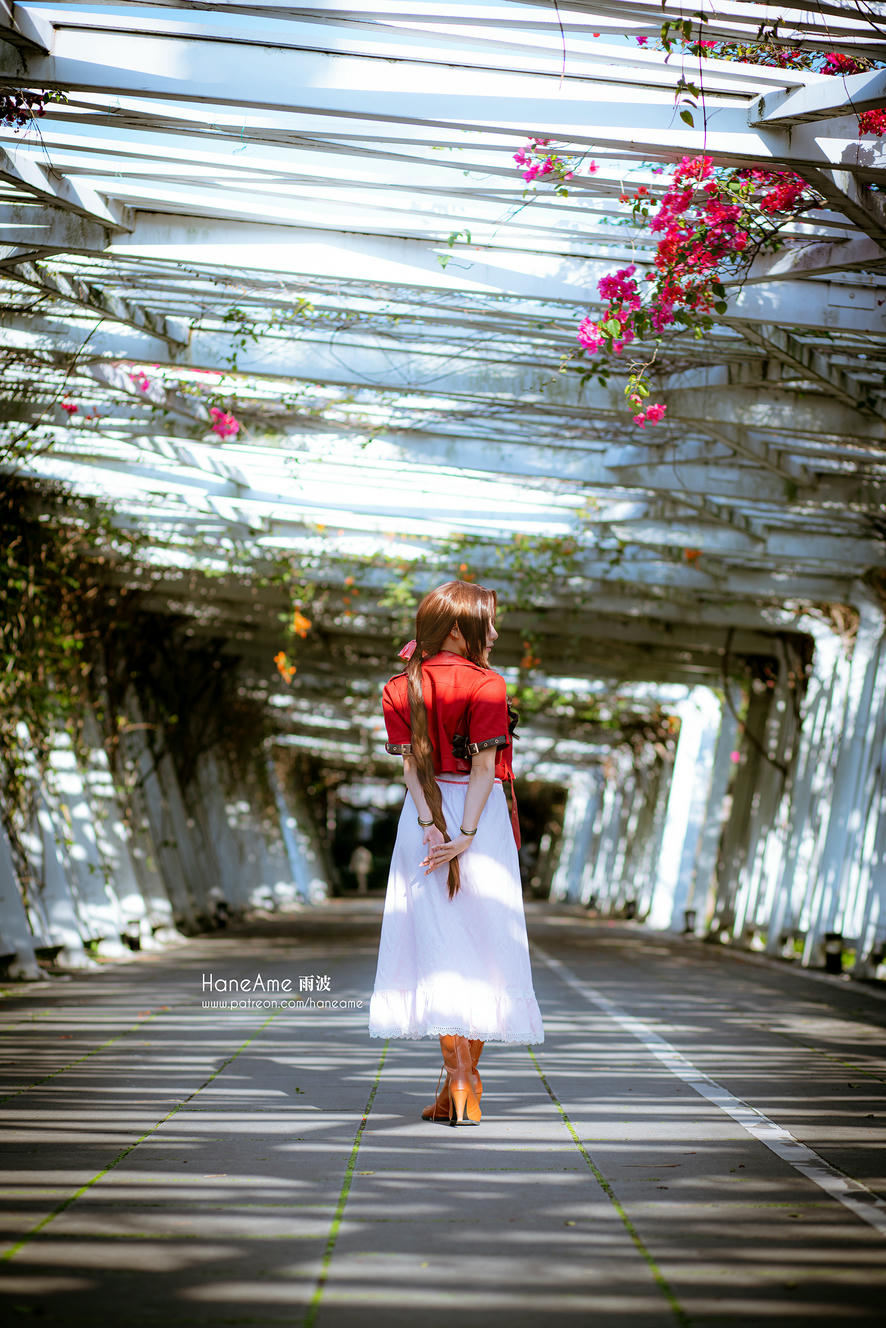 HaneAme雨波 NO.025 Hane Ame 4 月 Patreon [101P+5V-224.79MB]-最终幻想-爱丽丝_第1集