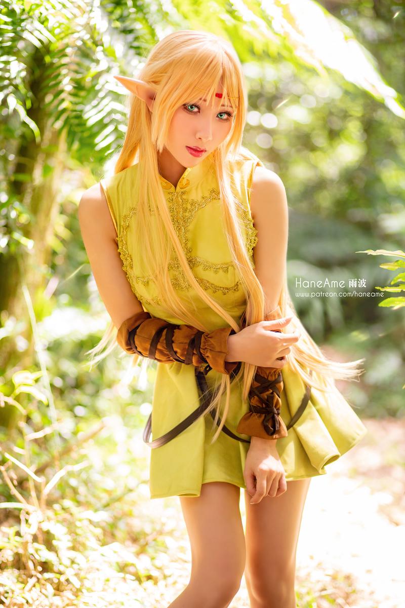 HaneAme雨波 NO.057 Record of lodoss Deedlit [6P 681.94 KB]_第1集