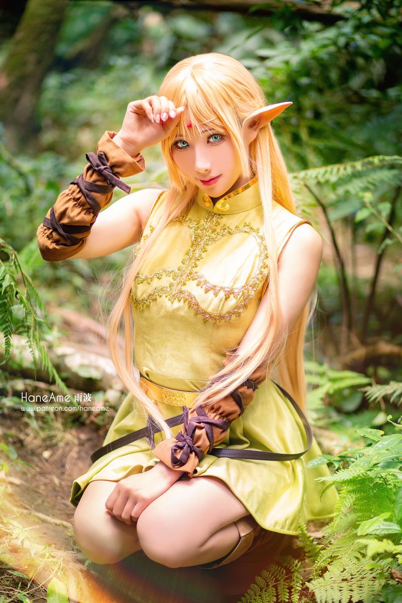 HaneAme雨波 NO.057 Record of lodoss Deedlit [6P 681.94 KB]_第1集