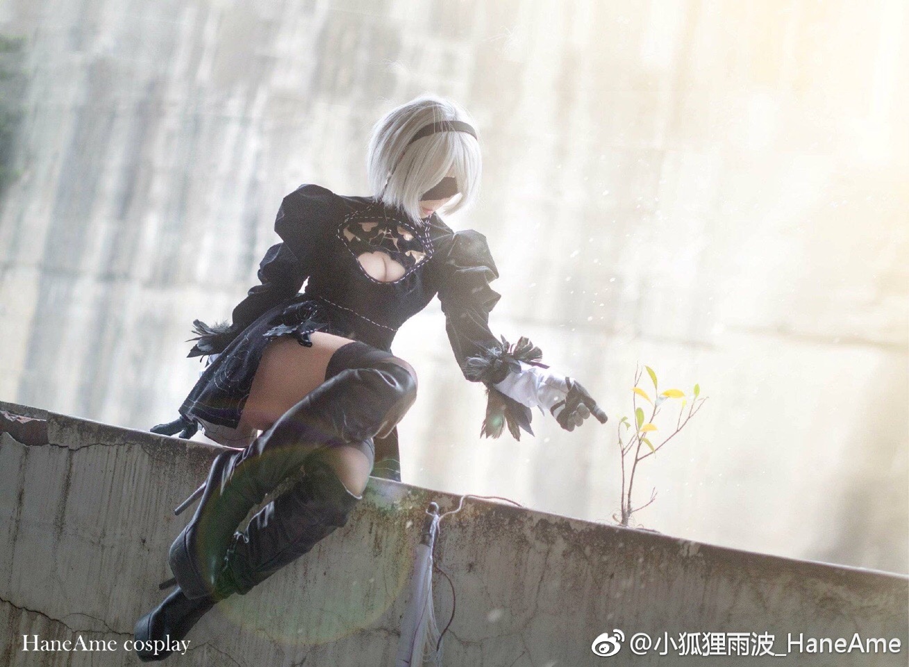 HaneAme雨波 NO.078 微博图包 [1244P 633.54 MB]-2B小姐姐_第1集