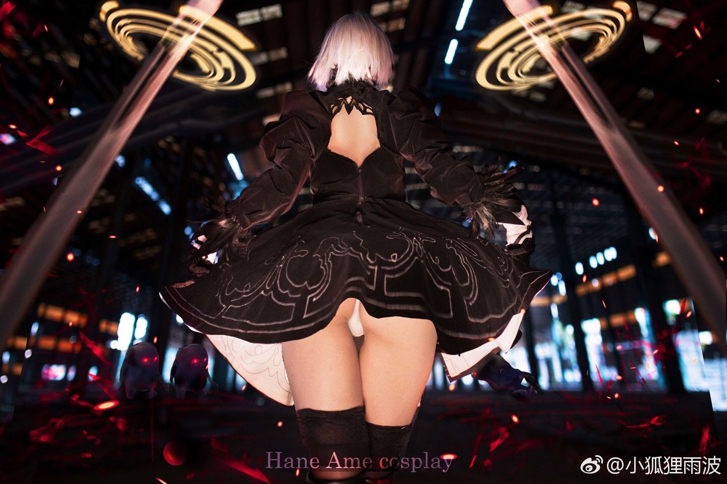 HaneAme雨波 NO.078 微博图包 [1244P 633.54 MB]-2B小姐姐_第1集