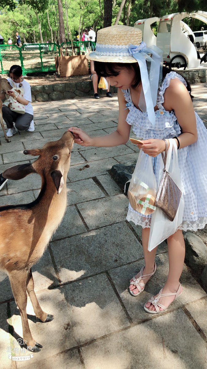 HaneAme雨波 NO.078 微博图包 [1244P 633.54 MB]-漫展返图、合照_第2集