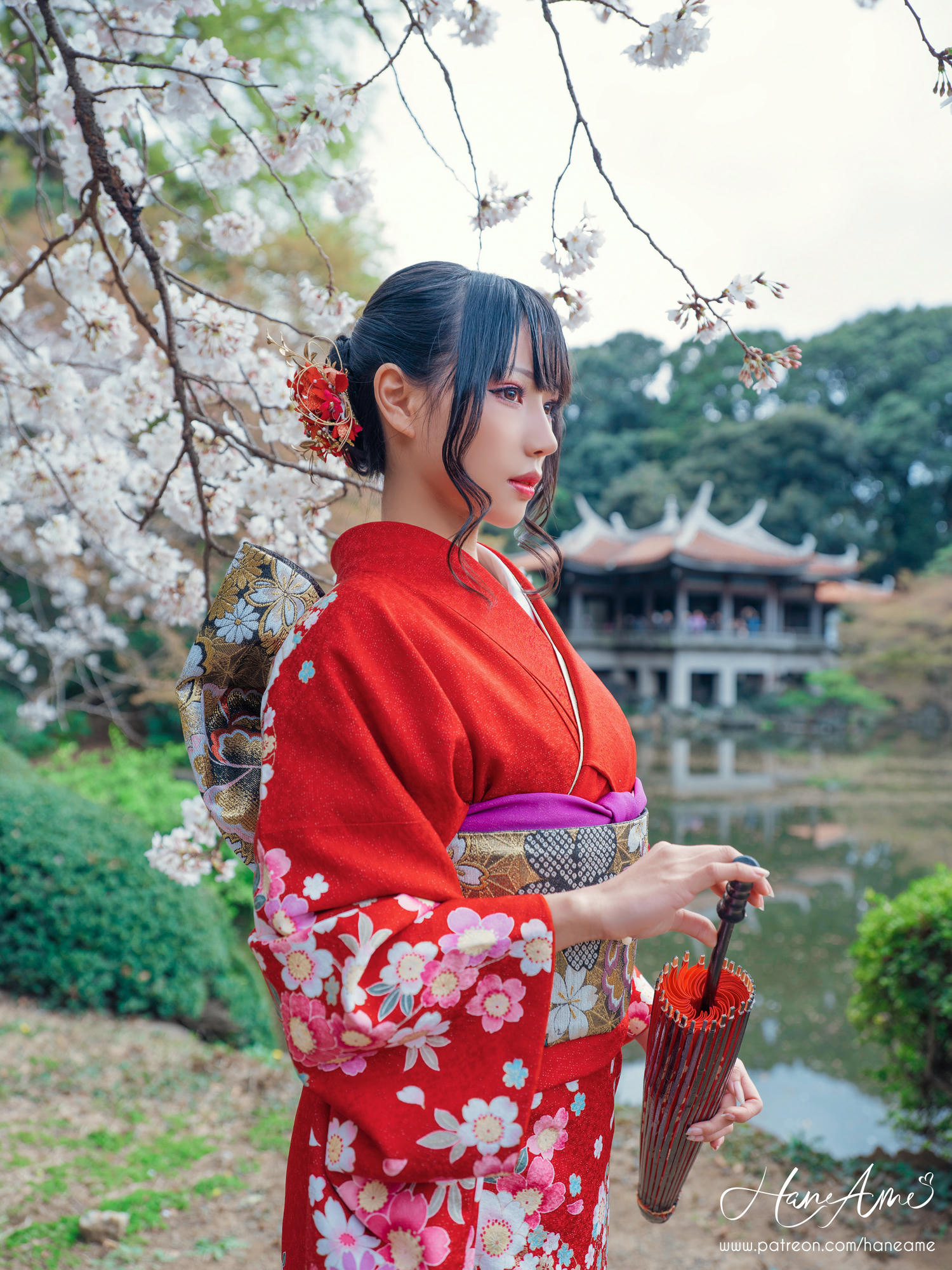 HaneAme雨波 NO.092 赤紅和服 [38P-736MB]_第2集