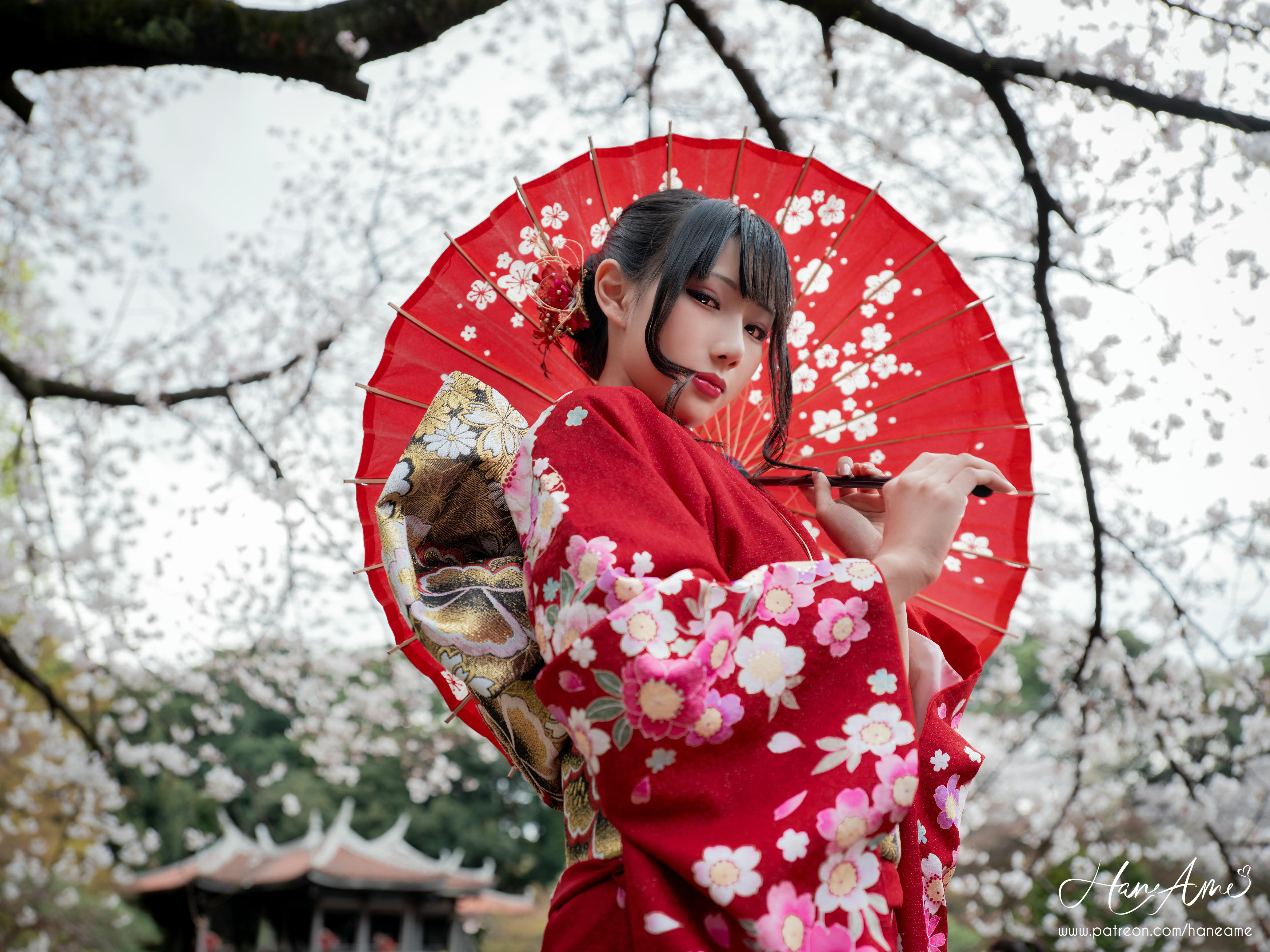 HaneAme雨波 NO.092 赤紅和服 [38P-736MB]_第1集