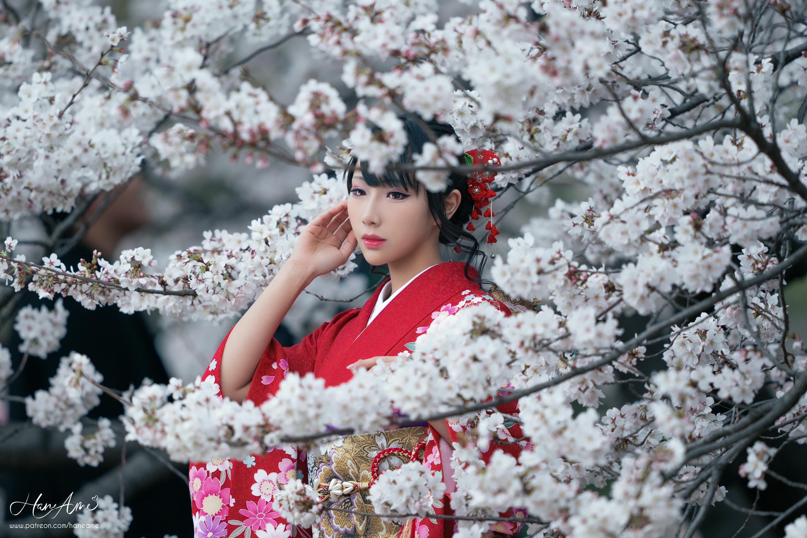 HaneAme雨波 NO.092 赤紅和服 [38P-736MB]_第1集