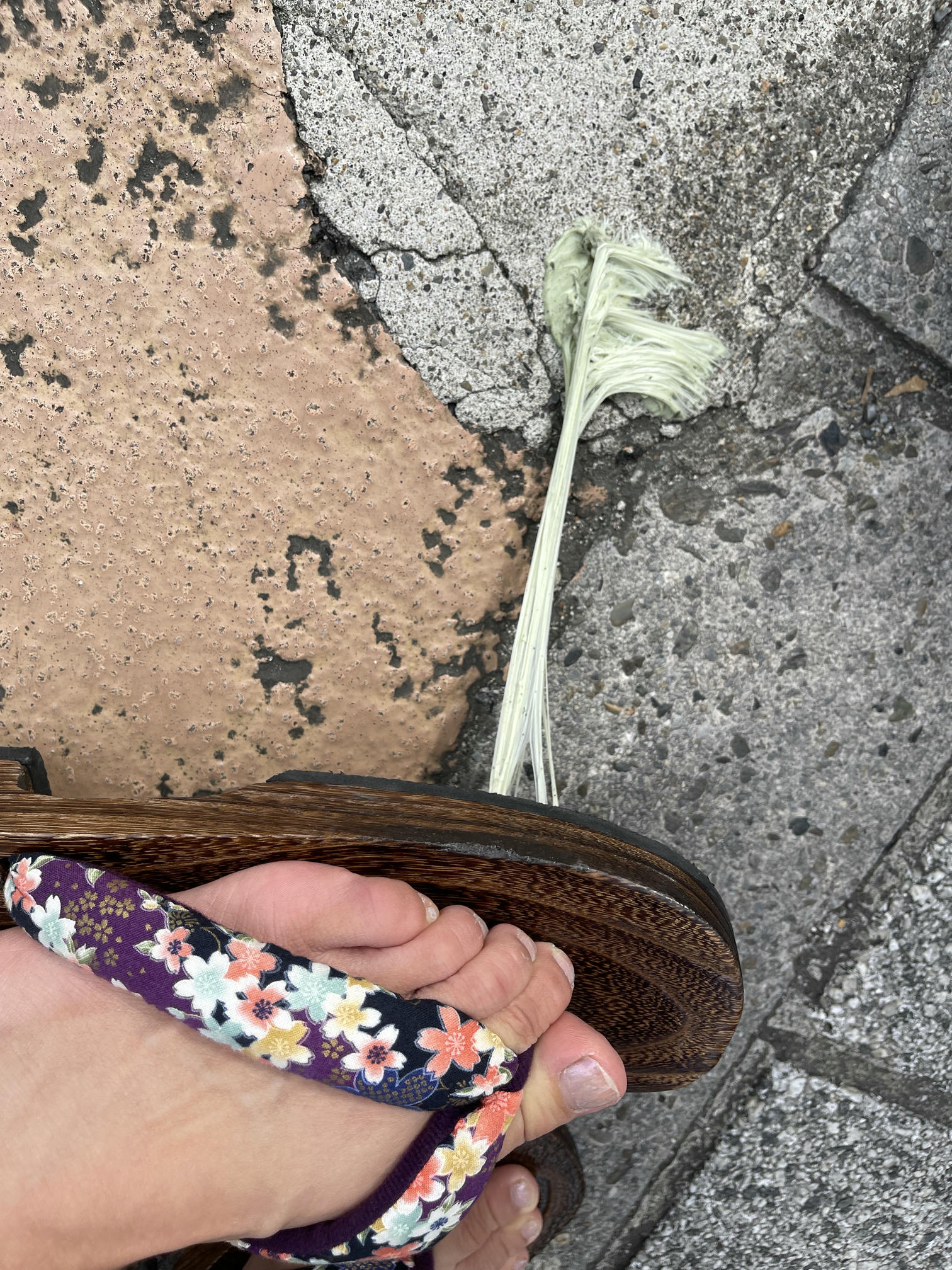 HaneAme雨波 NO.147 新年紫罗兰浴衣[110P-1.71G]_第6集