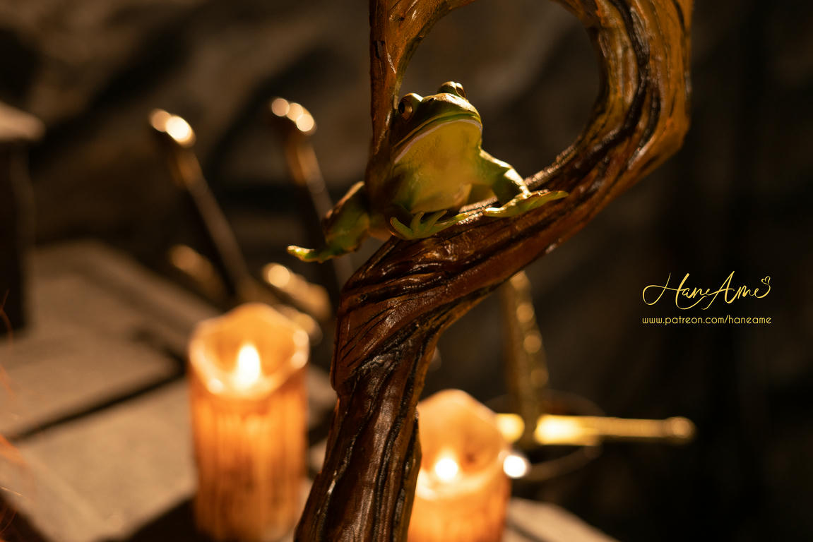 HaneAme雨波 NO.016 Dragonˊs Crown_Sorceress_魔龍寶冠_術士 [24P 66.66 MB]_第1集