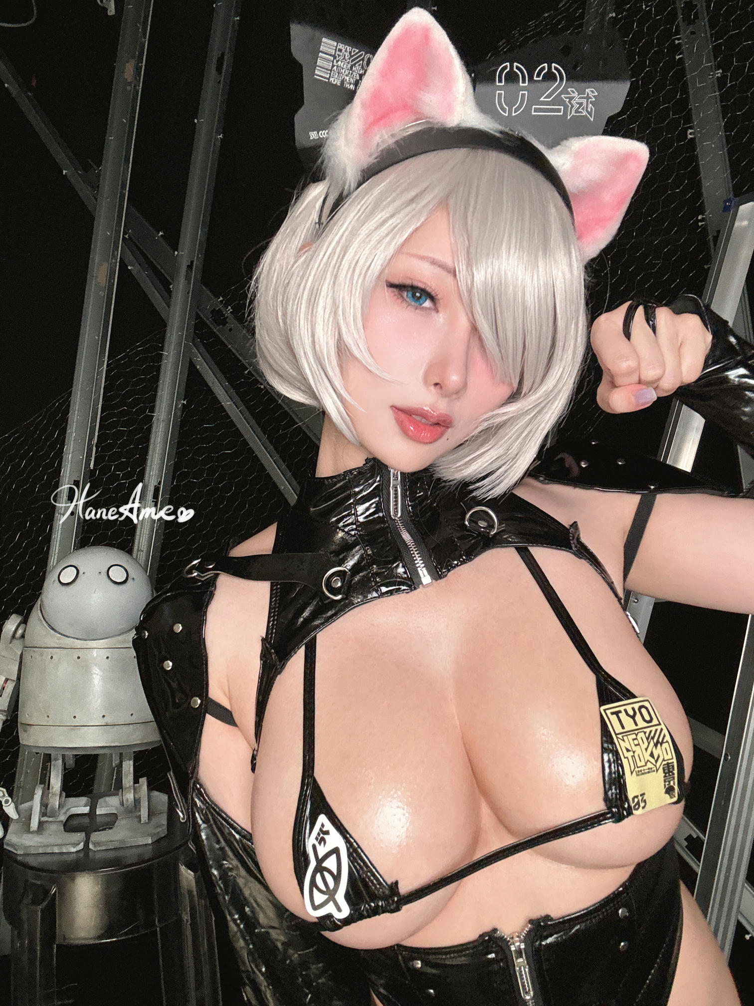 HaneAme雨波 NO.291 Nier Automata_ 2B_ Cyberpunk 貓貓 [31P4V 215MB]_第2集