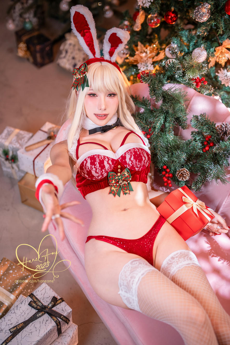 HaneAme雨波 NO.293 聖誕節兔兔 [27P 100MB]_第1集