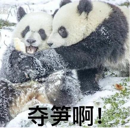 HaneAme雨波 NO.296 Sakura Wars [22P-26MB]_第2集