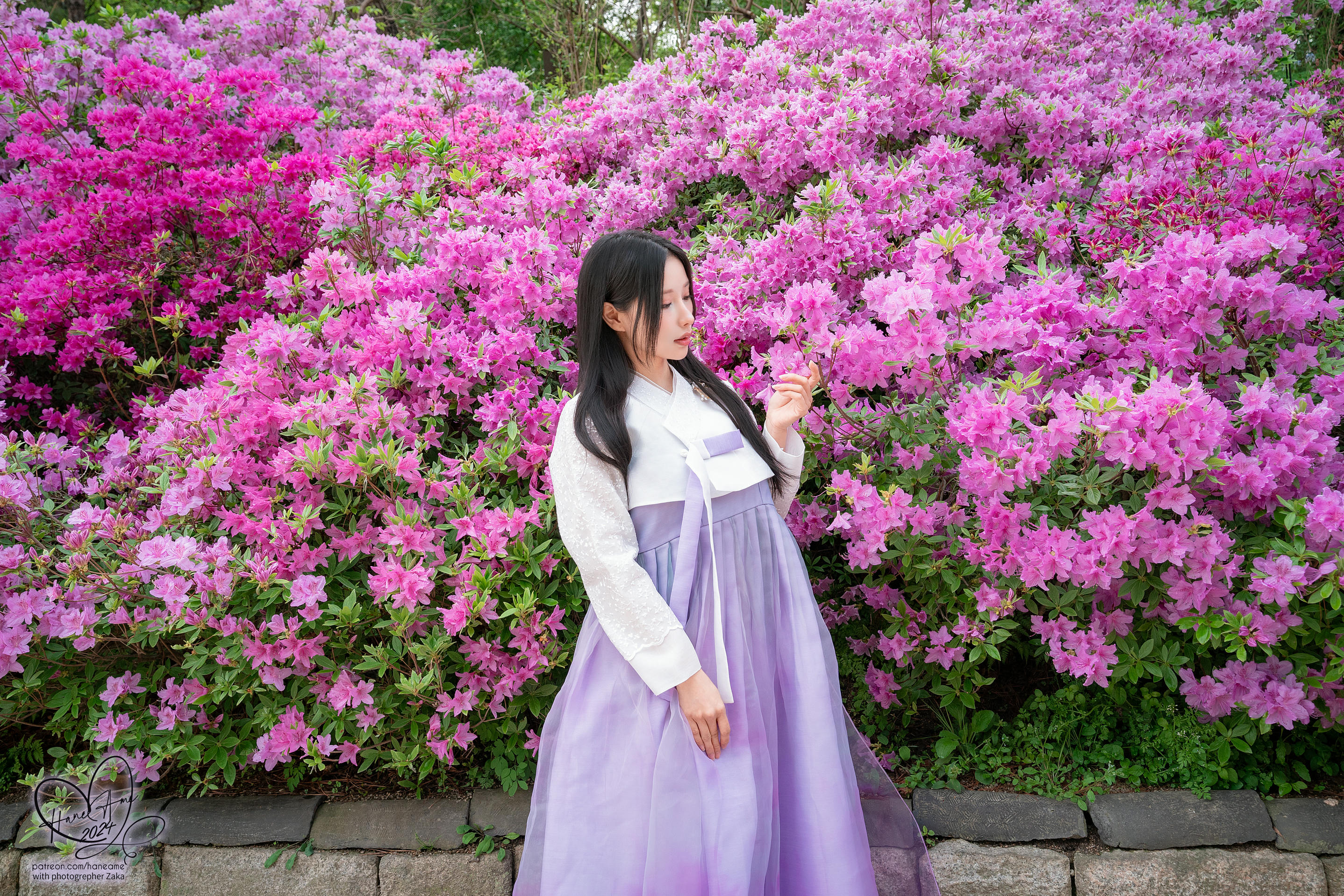 HaneAme雨波 NO.312 24年05月订阅 Original 韓國漢服 [48P+4V／831MB]_第2集