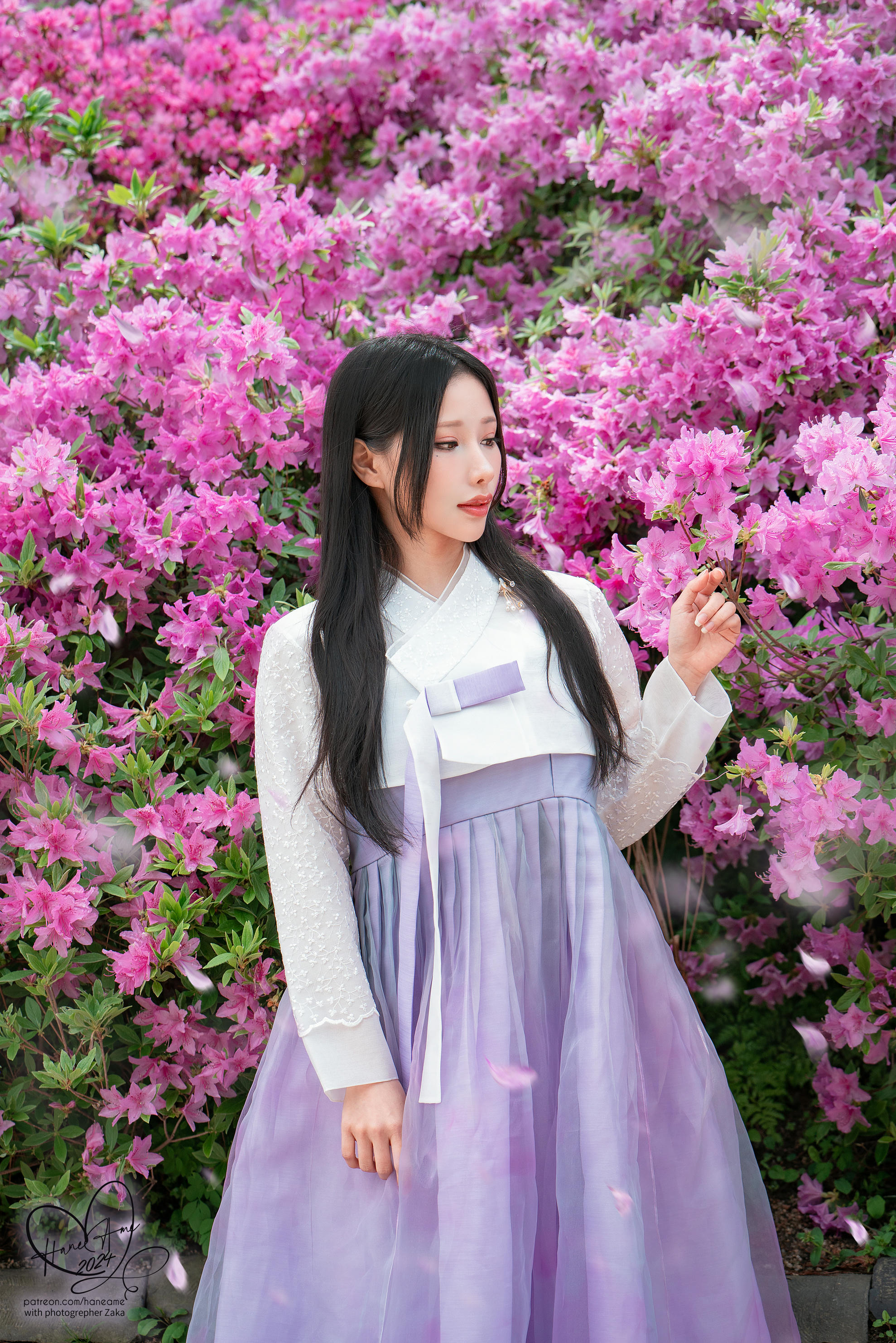 HaneAme雨波 NO.312 24年05月订阅 Original 韓國漢服 [48P+4V／831MB]_第3集