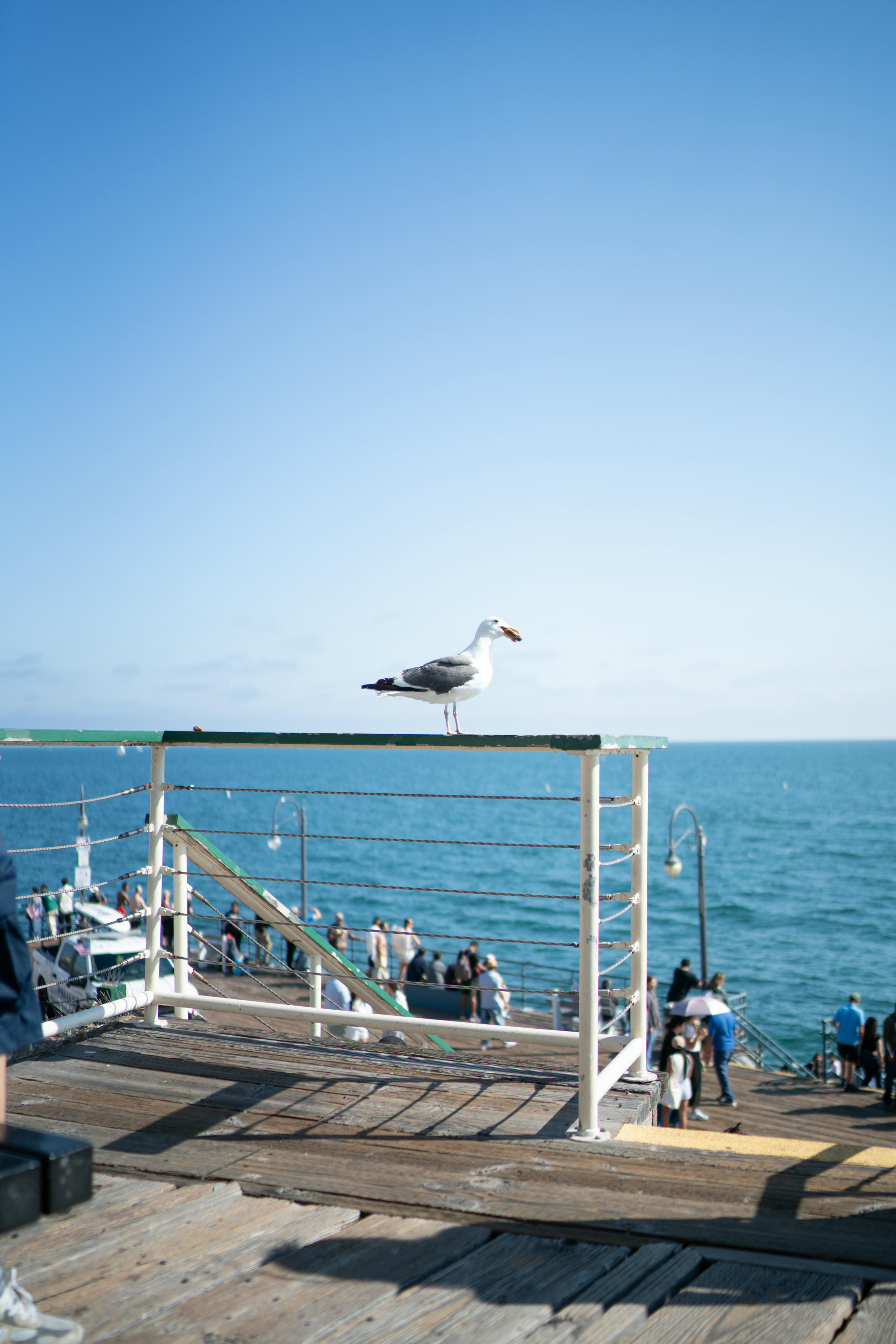 HaneAme雨波 NO.320 24年08月订阅 Glasses Girlfriend USA 眼鏡女友 夏末美國回憶[72P-240.3M]_第2集