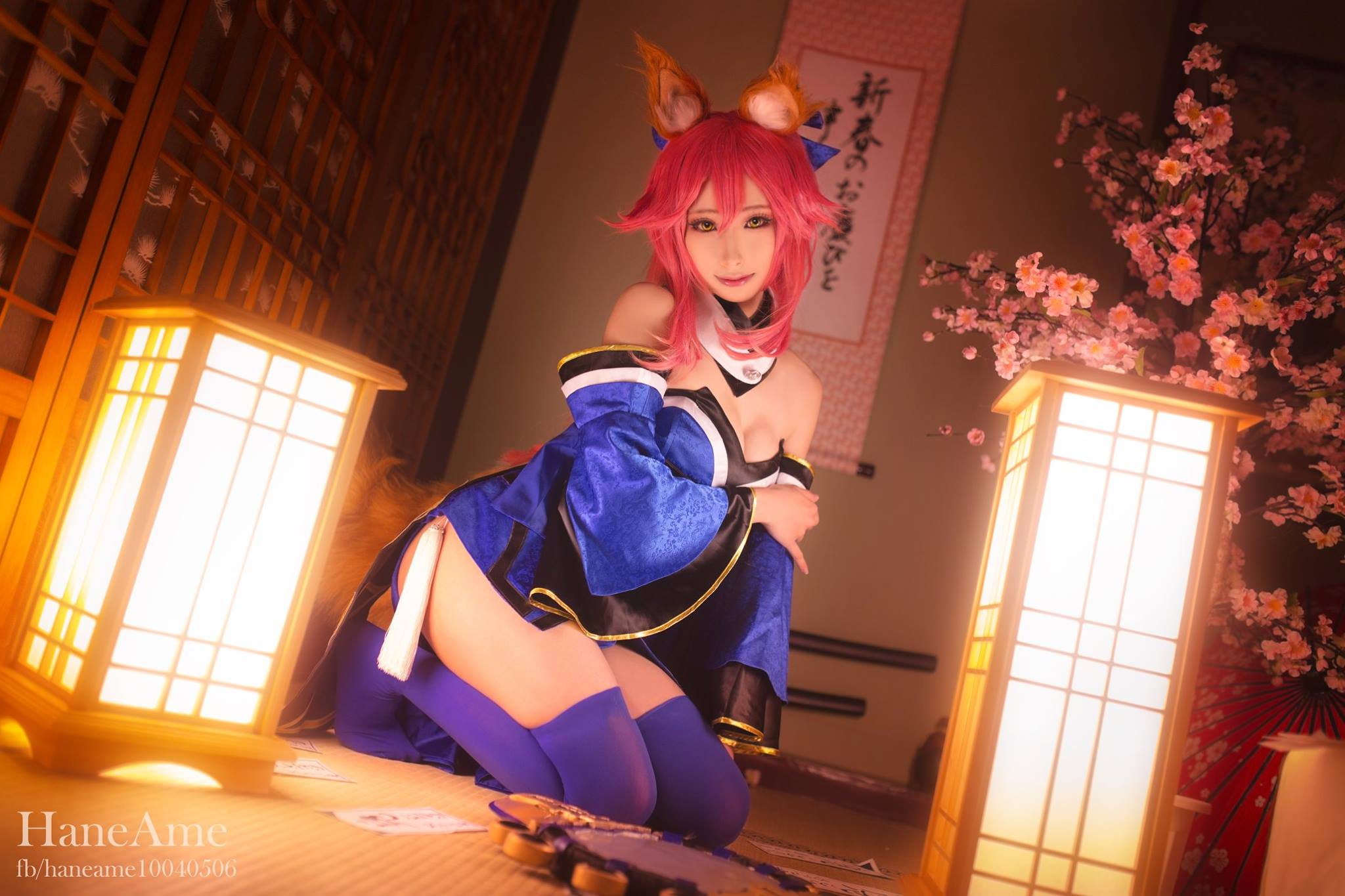 HaneAme雨波 NO.018 Fate series [1123P5V 1.59GB]-Tamamo_第1集