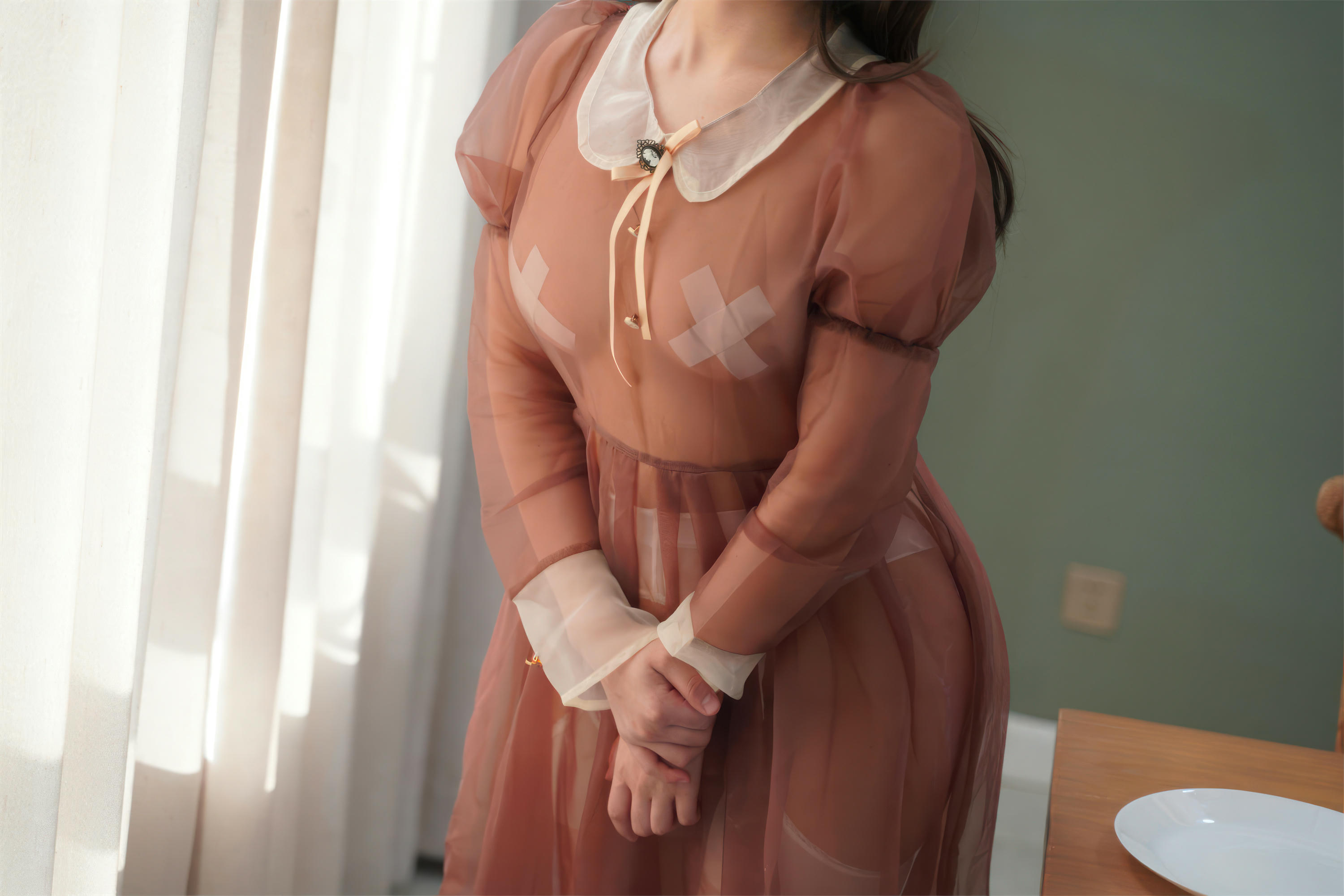 虎森森 NO.042 棕色透明女仆[35P-229.2M]_第2集