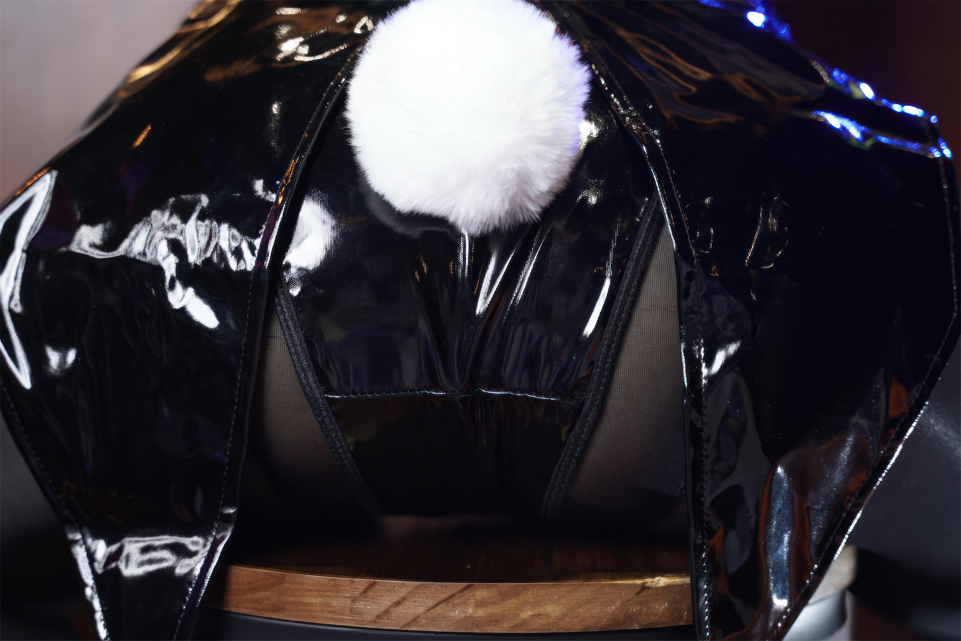 虎森森 NO.044 侍女兔兔[41P-349.3M]_第1集