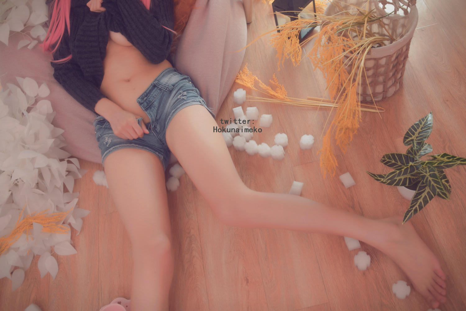 北乃芽子-Hokunaimeko NO.005 玉藻の前私服ver [76P 130MB]_第1集