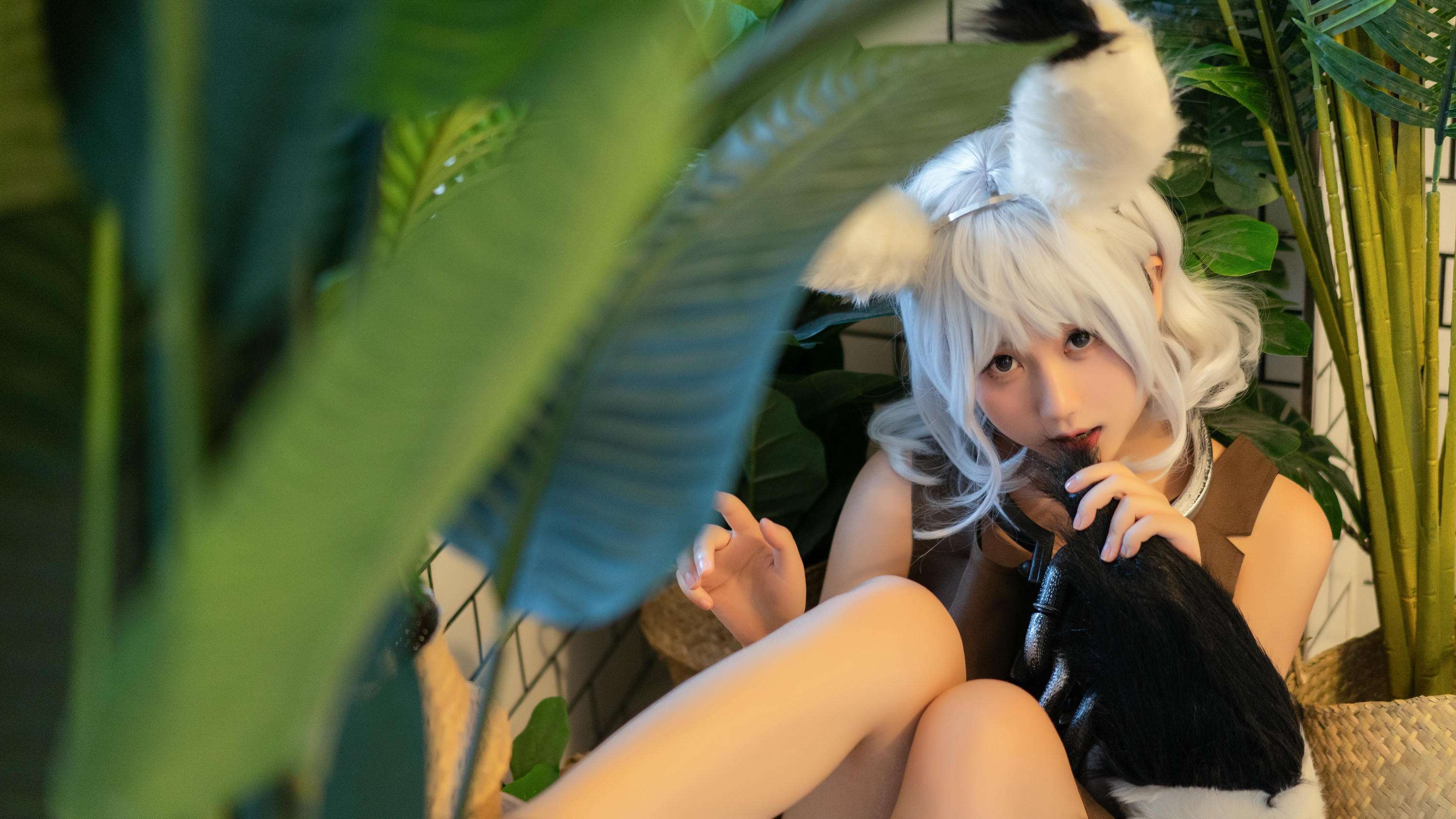 镜酱 NO.015 希尔 [20-198MB]_第1集