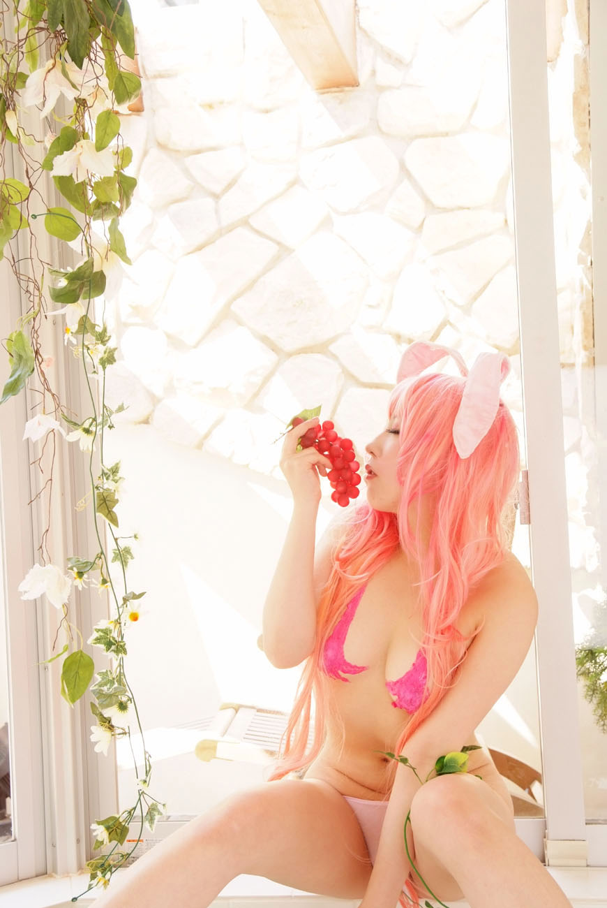 林檎蜜纪Cosplayer-HERESYNO_1.002 C76 PINK RUSH (Queens Blade) [224P-28MB]_第2集