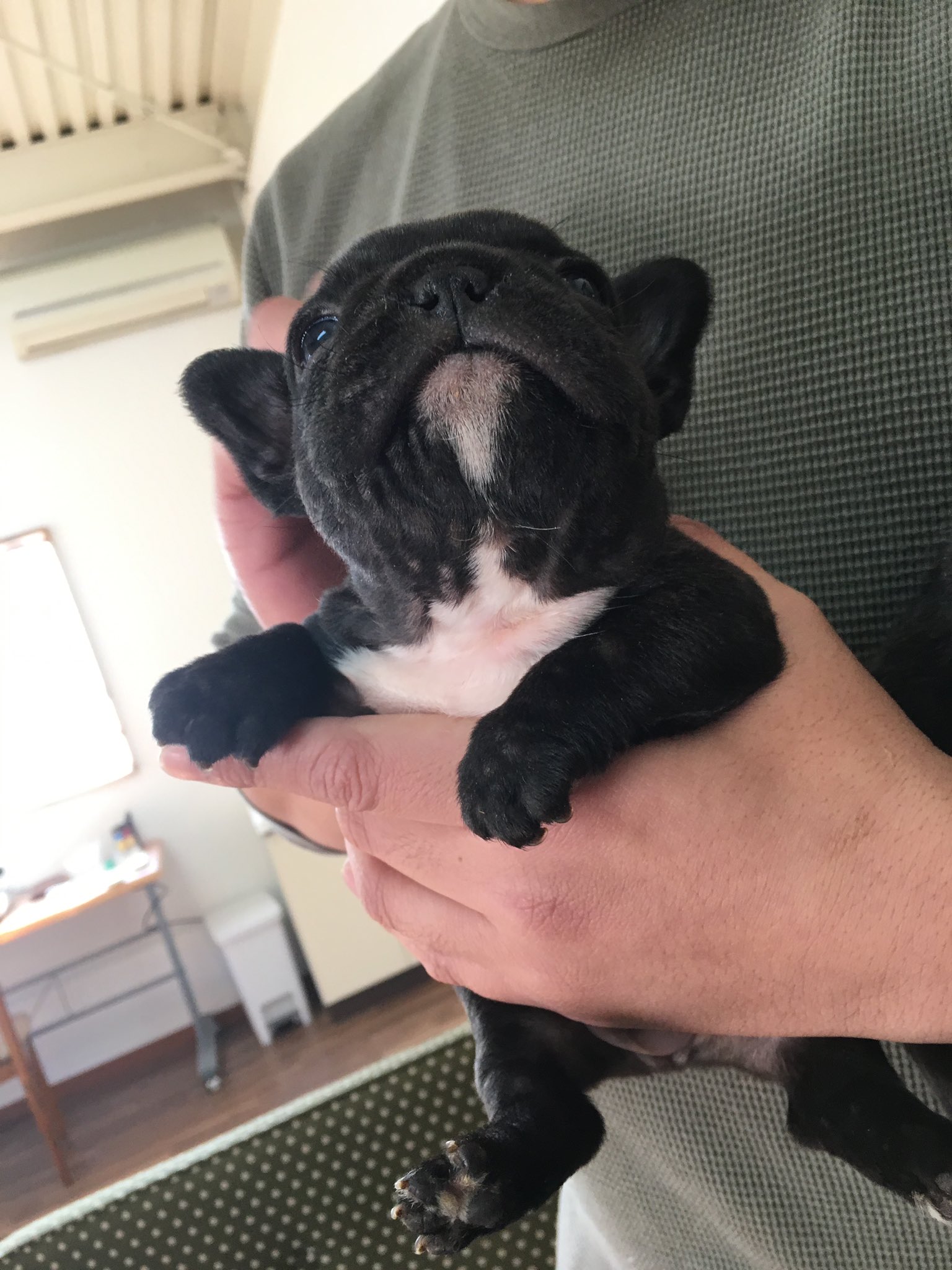 日本coser-いくみ – (193iKkyu3) [Twitter] (10.11.2022) [2476P116V-1.04GB]_第50集