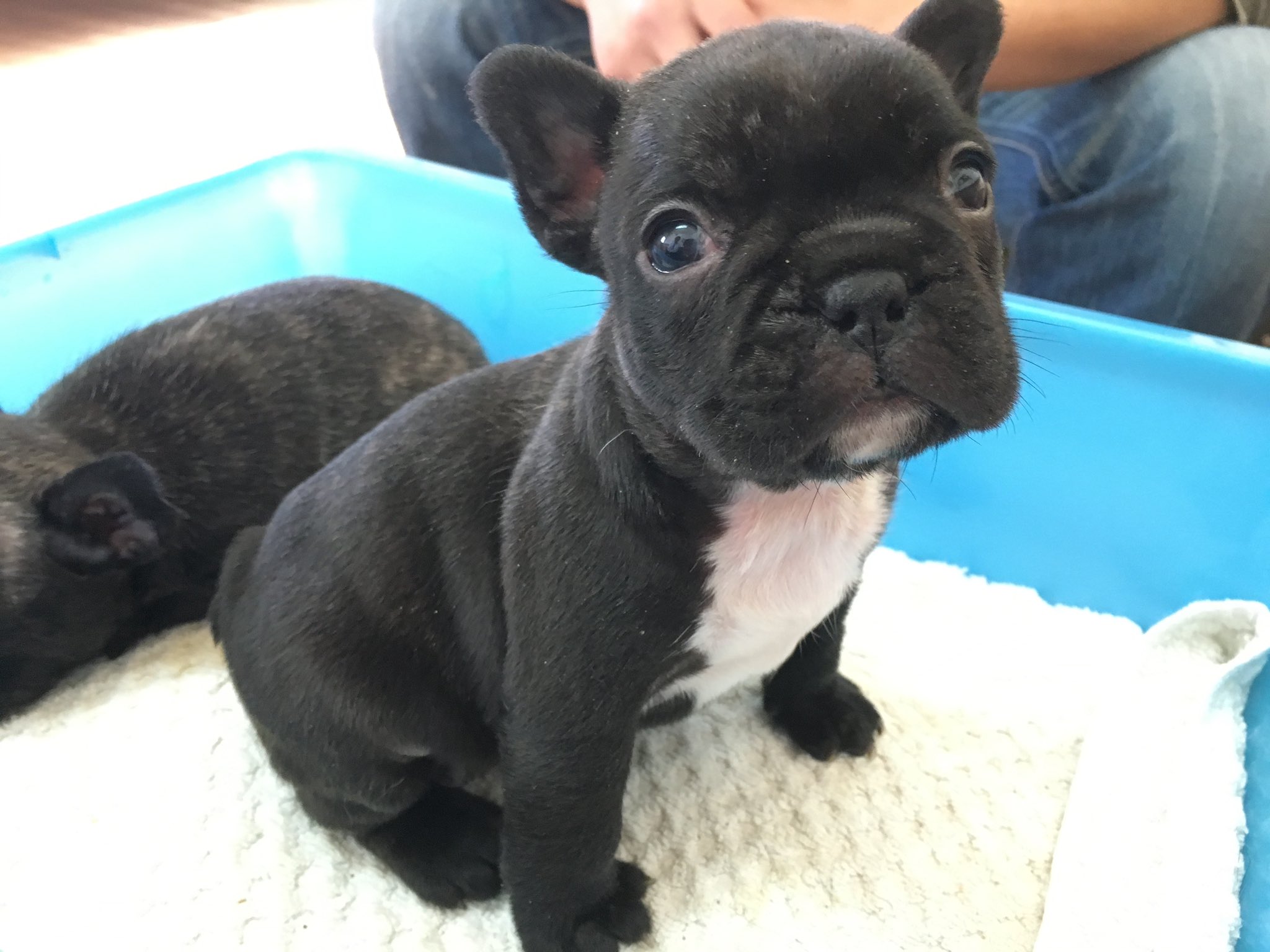 日本coser-いくみ – (193iKkyu3) [Twitter] (10.11.2022) [2476P116V-1.04GB]_第51集