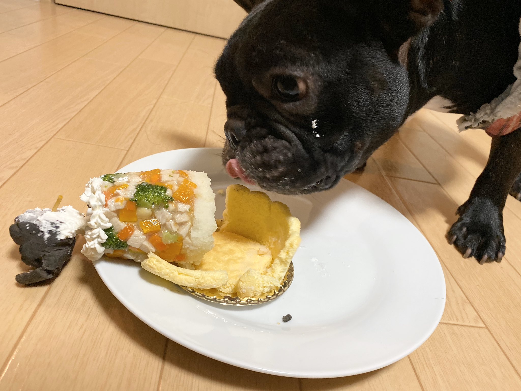 日本coser-いくみ – (193iKkyu3) [Twitter] (10.11.2022) [2476P116V-1.04GB]_第51集