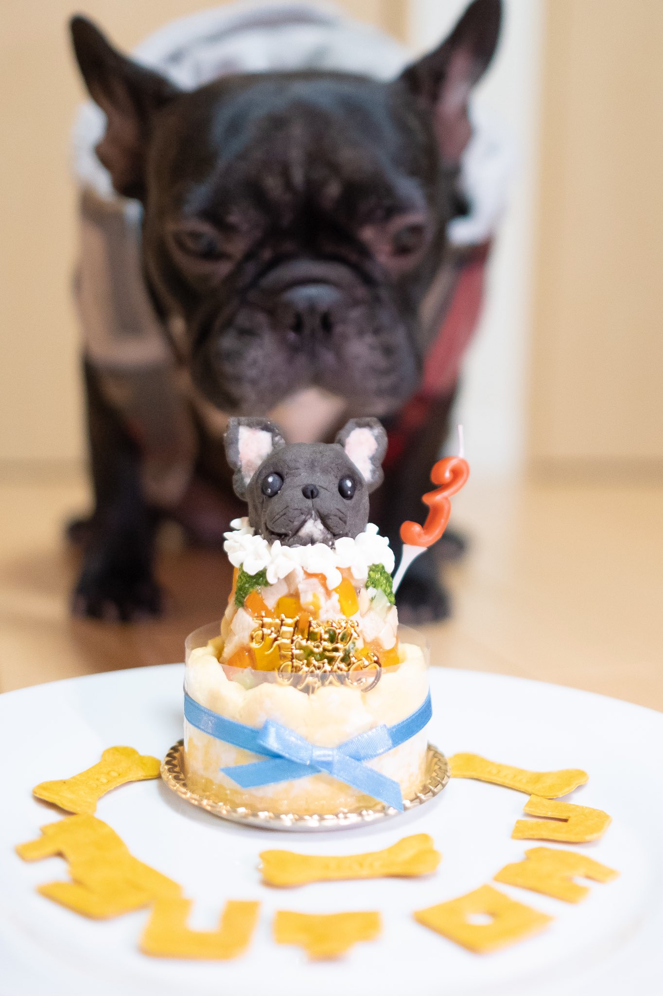 日本coser-いくみ – (193iKkyu3) [Twitter] (10.11.2022) [2476P116V-1.04GB]_第51集