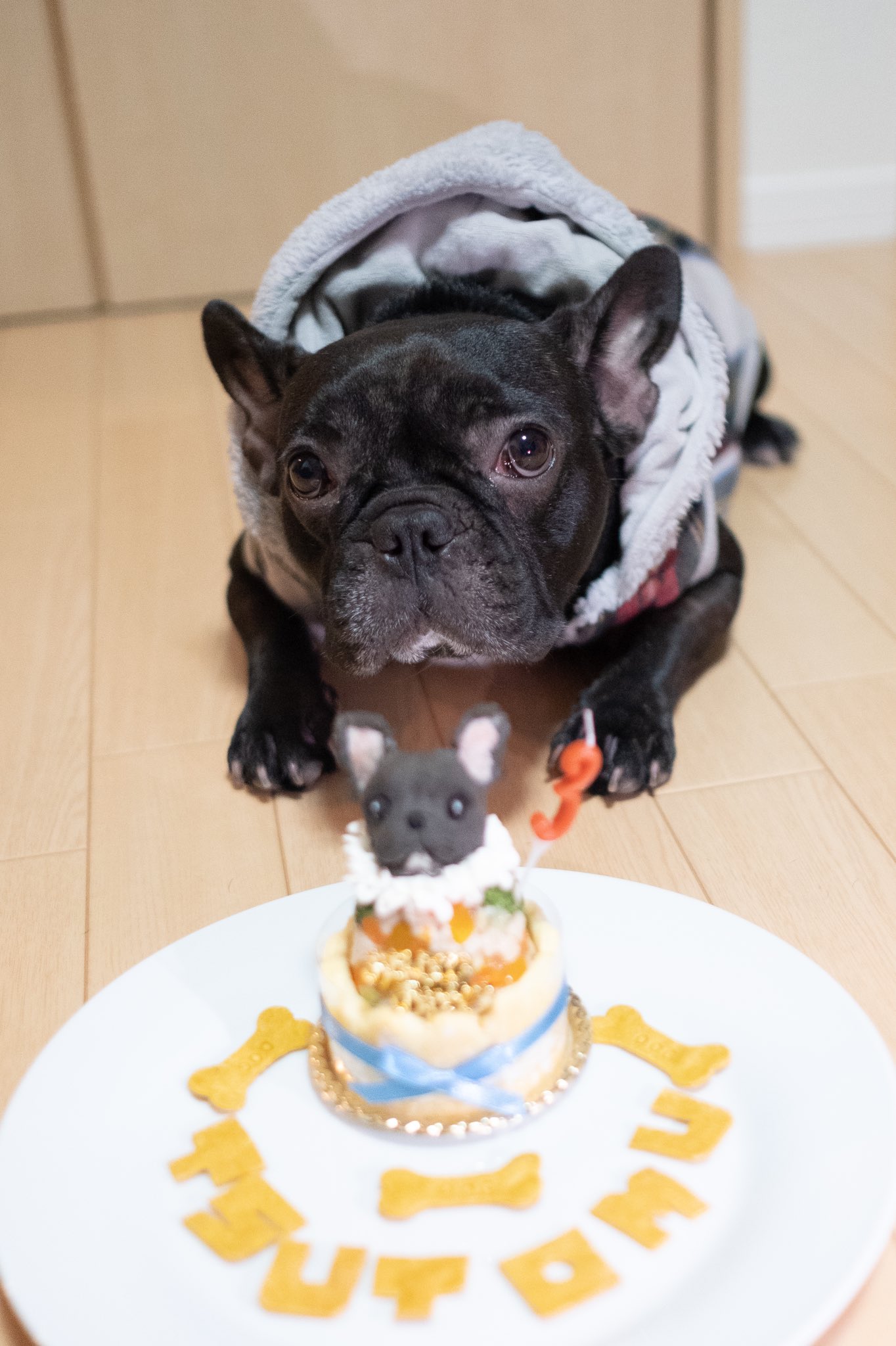 日本coser-いくみ – (193iKkyu3) [Twitter] (10.11.2022) [2476P116V-1.04GB]_第51集