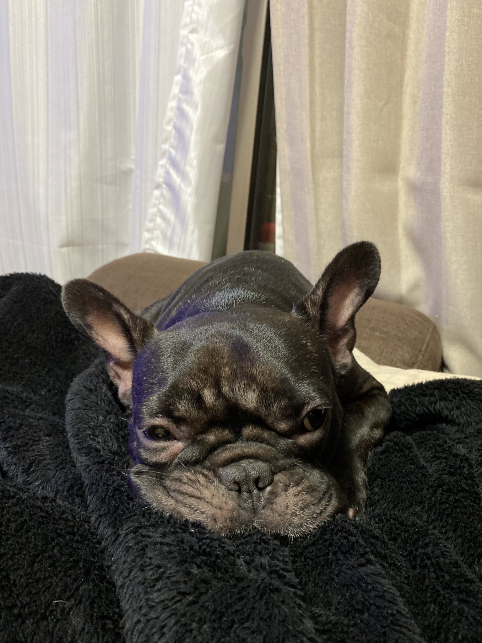 日本coser-いくみ – (193iKkyu3) [Twitter] (10.11.2022) [2476P116V-1.04GB]_第51集