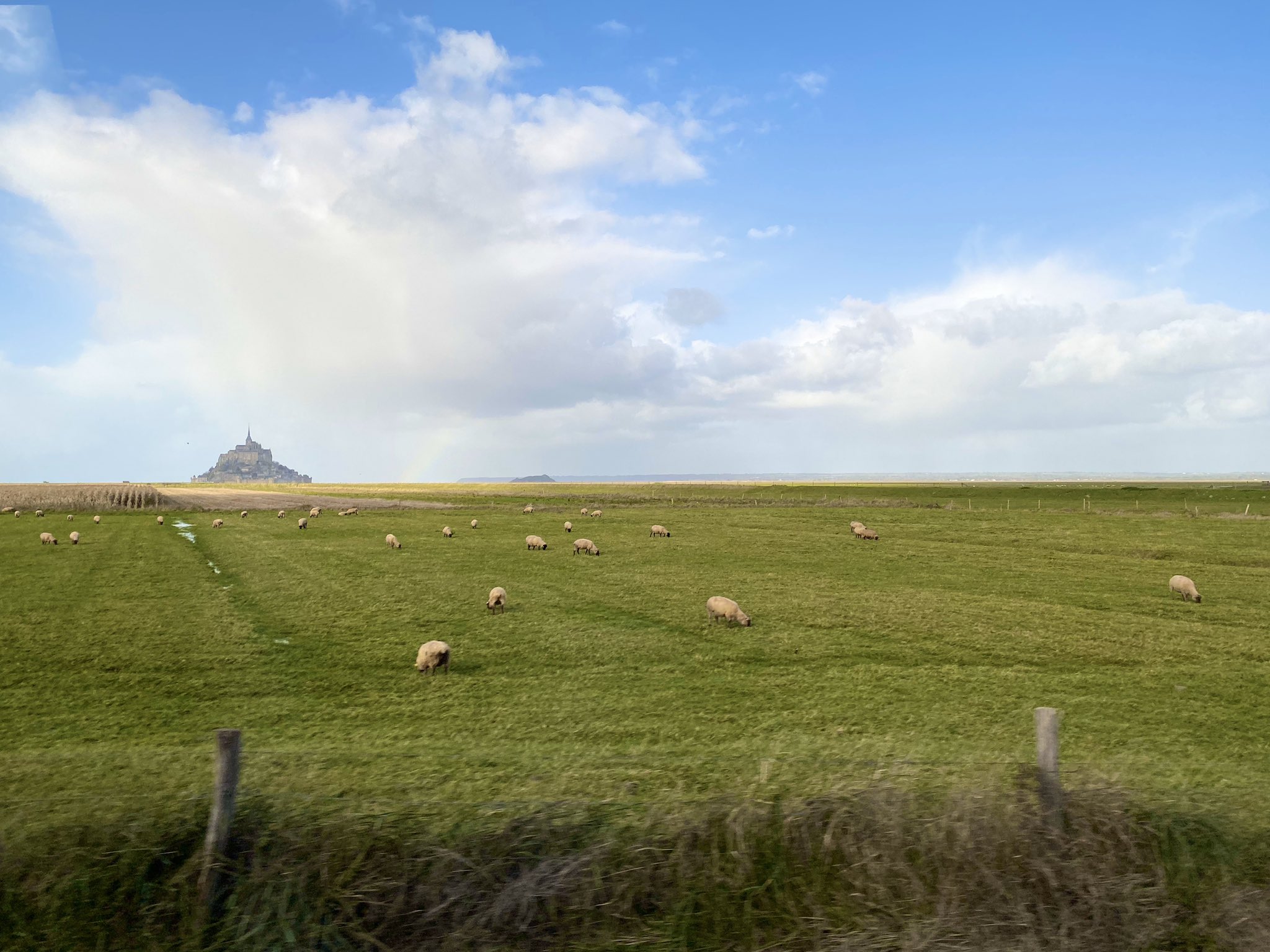 日本coser-いくみ – (193iKkyu3) [Twitter] (10.11.2022) [2476P116V-1.04GB]_第51集