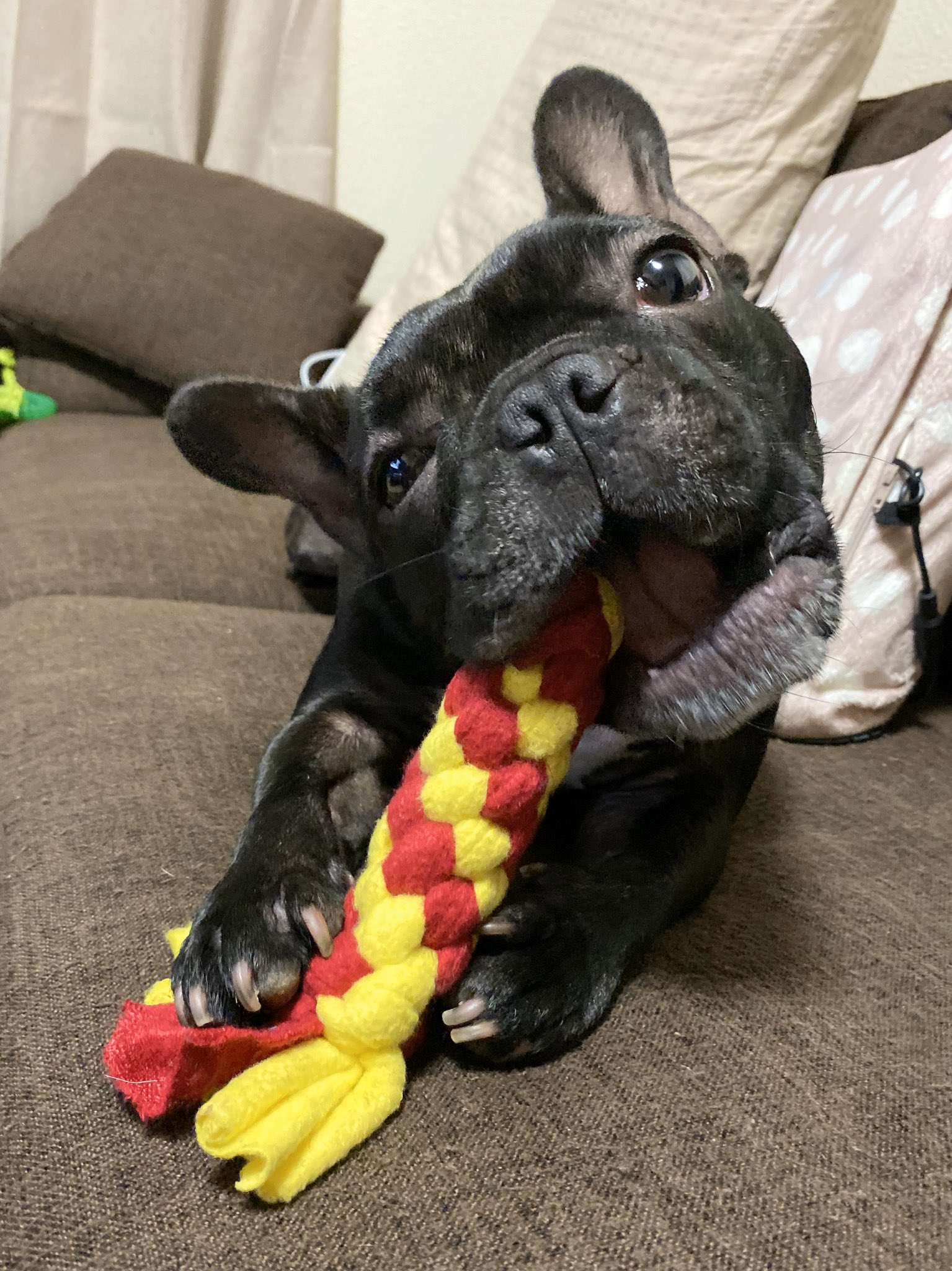 日本coser-いくみ – (193iKkyu3) [Twitter] (10.11.2022) [2476P116V-1.04GB]_第52集