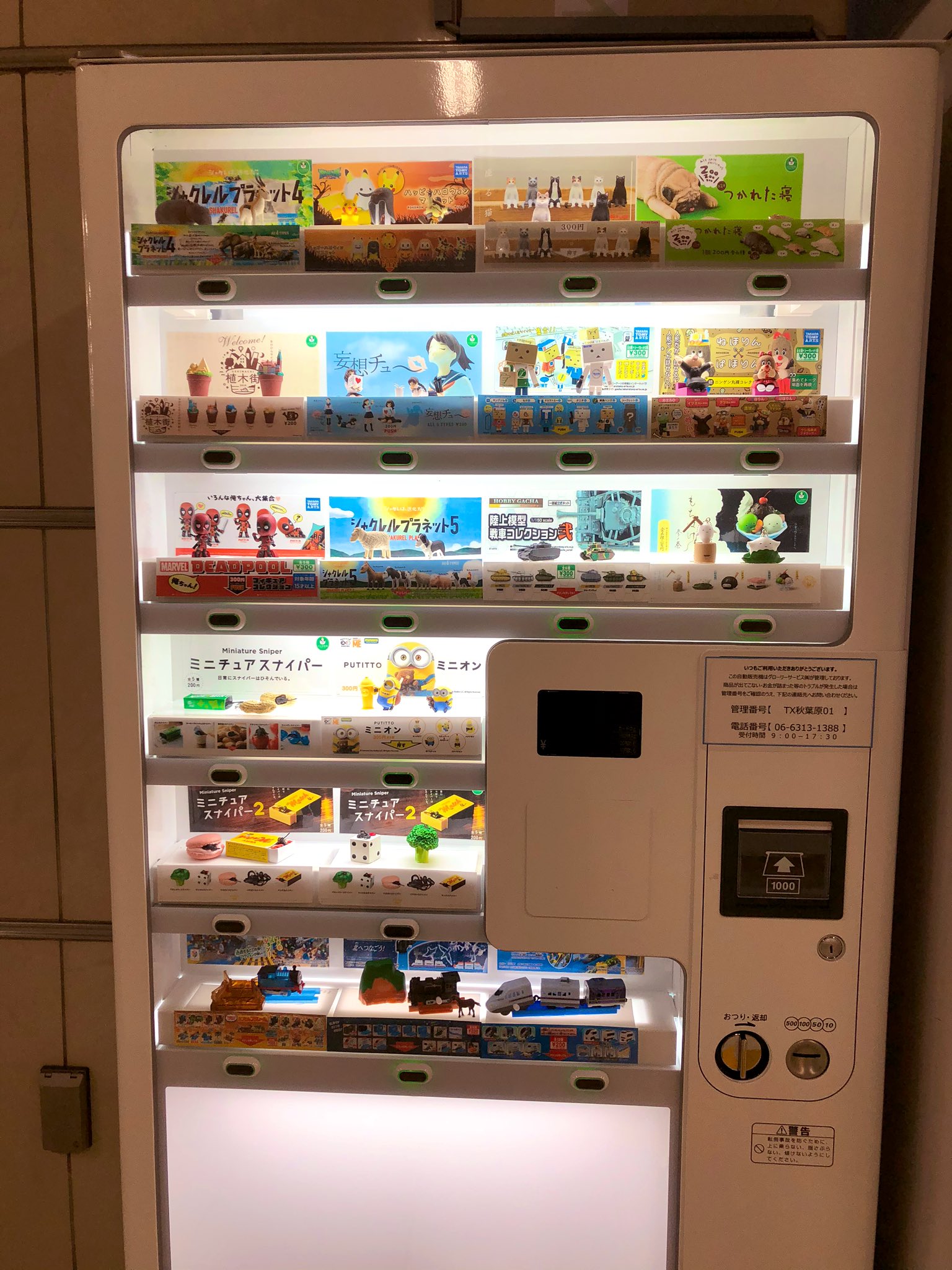 日本coser-いくみ – (193iKkyu3) [Twitter] (10.11.2022) [2476P116V-1.04GB]_第52集